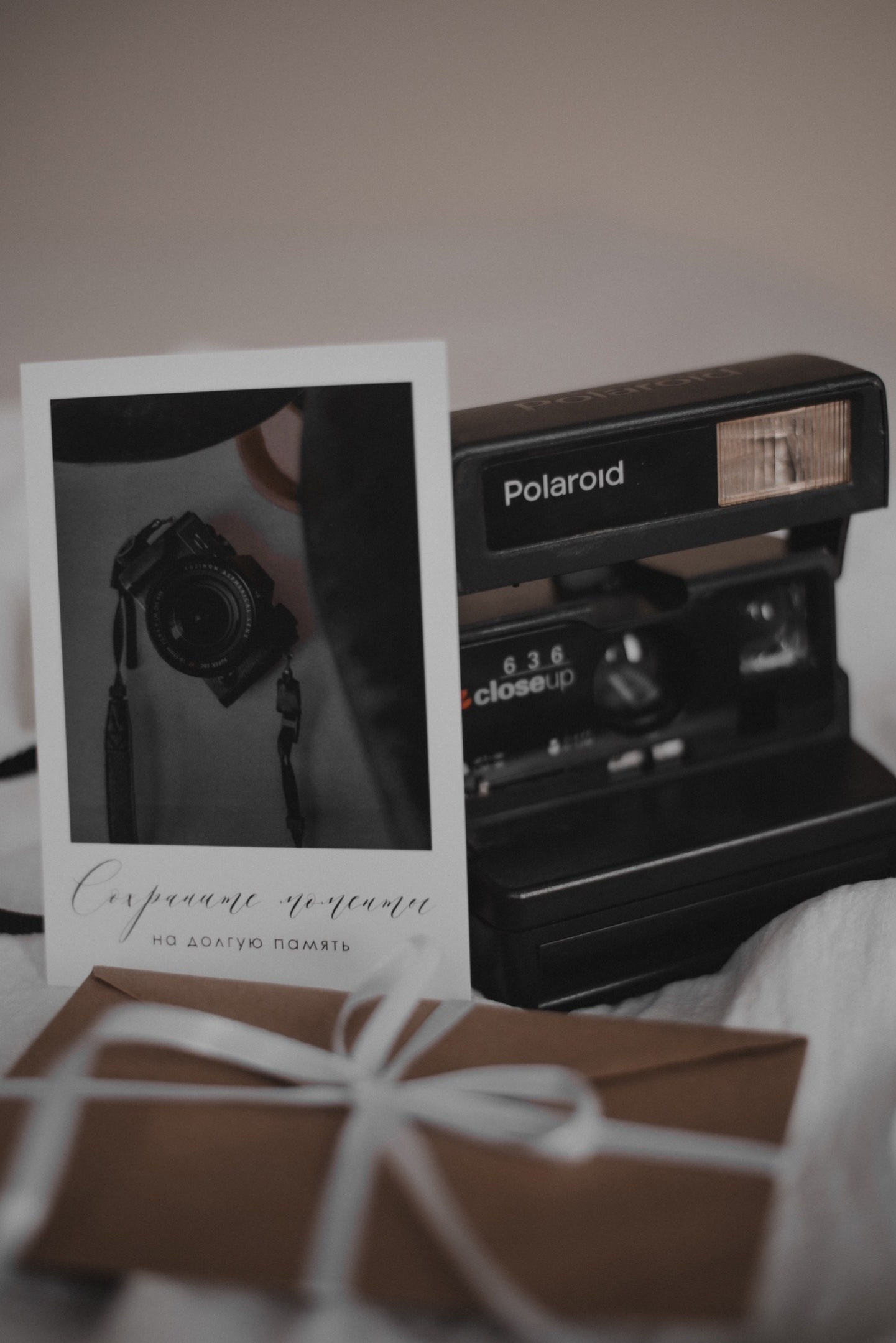 Тарифы на фотосессии. Фотограф Юлия Дубровская | Тула — свадьбы, семьи, детские съёмки