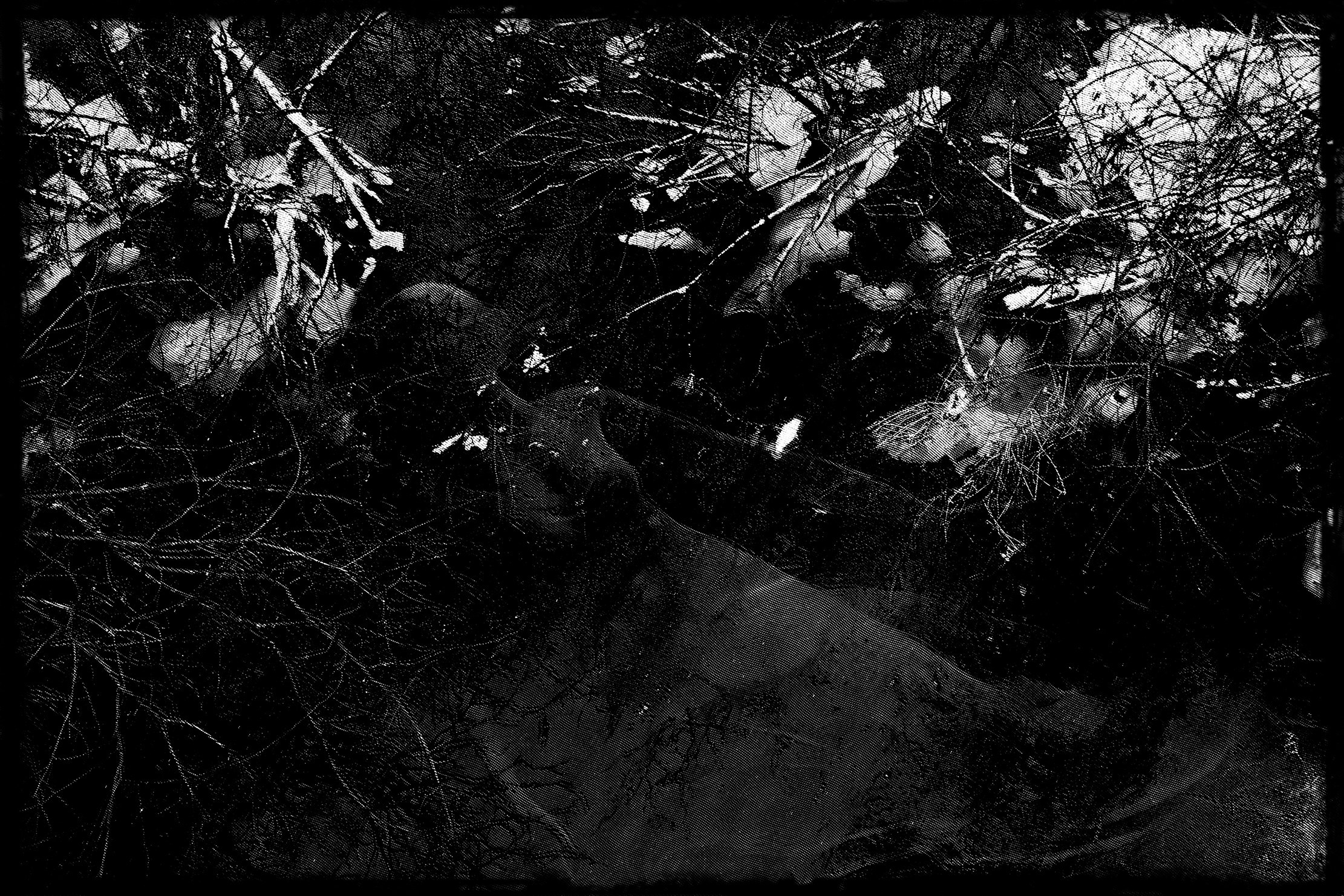 Meerjungfrau dream of tube TV No. 321024. Roman Hodirev is an esoteriologist, multidisciplinary artist, photographer and musician. Saint Petersburg, Riga