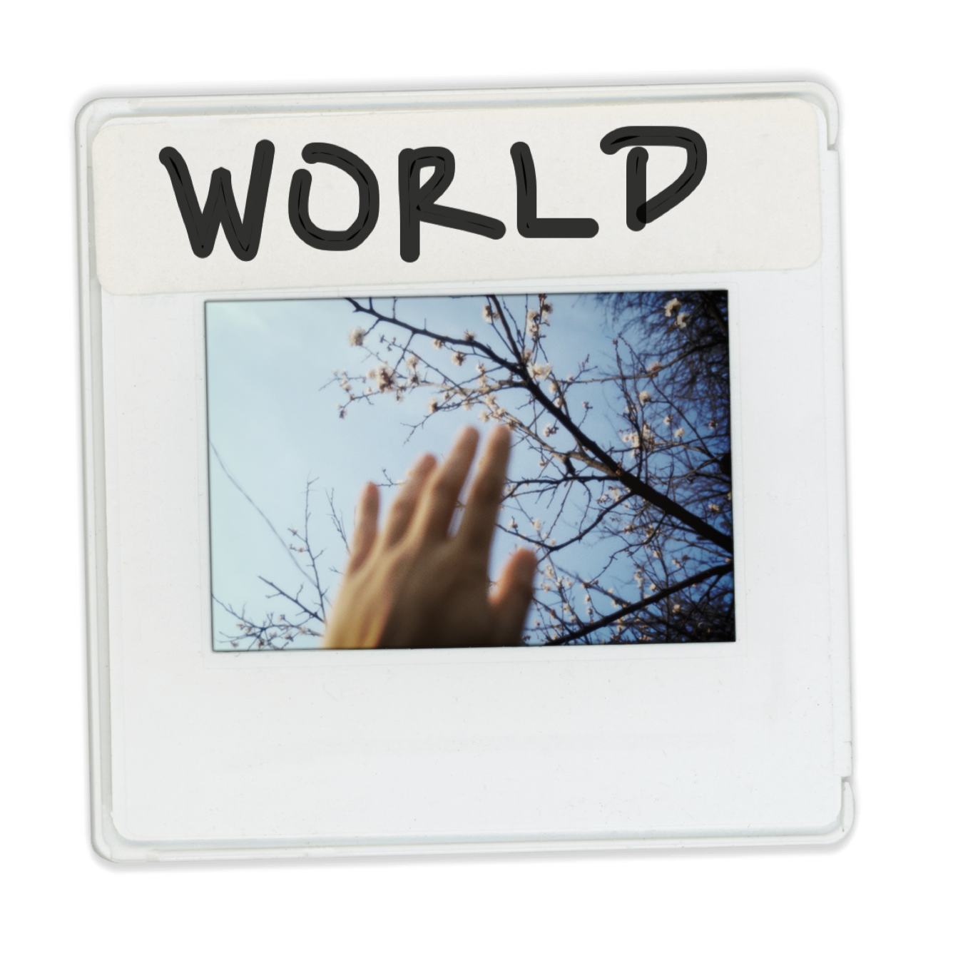 Photo gallery. POLINA MÔMOT