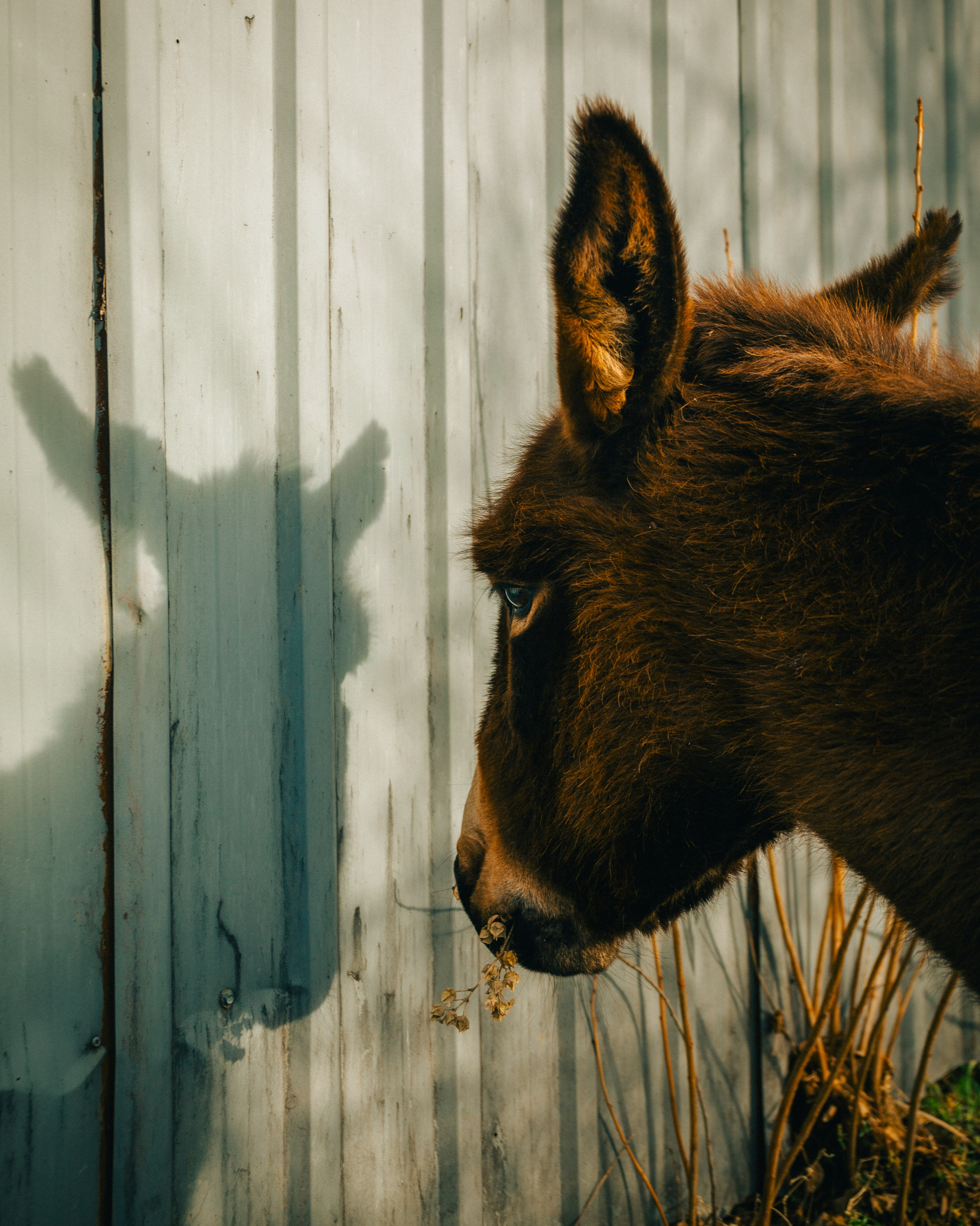 Открытки. Ostryakov Daniil Photographer