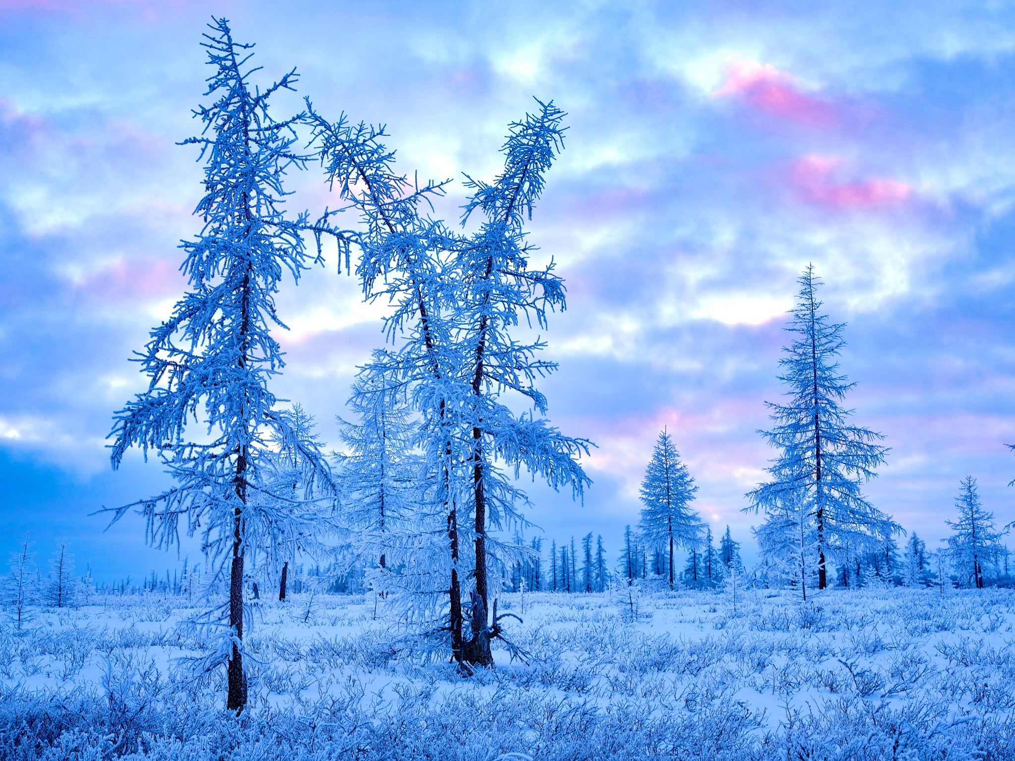 Природа. Главная