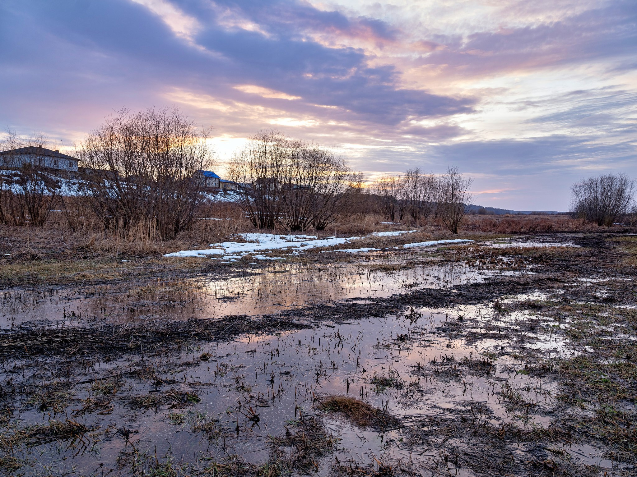 Природа. Главная