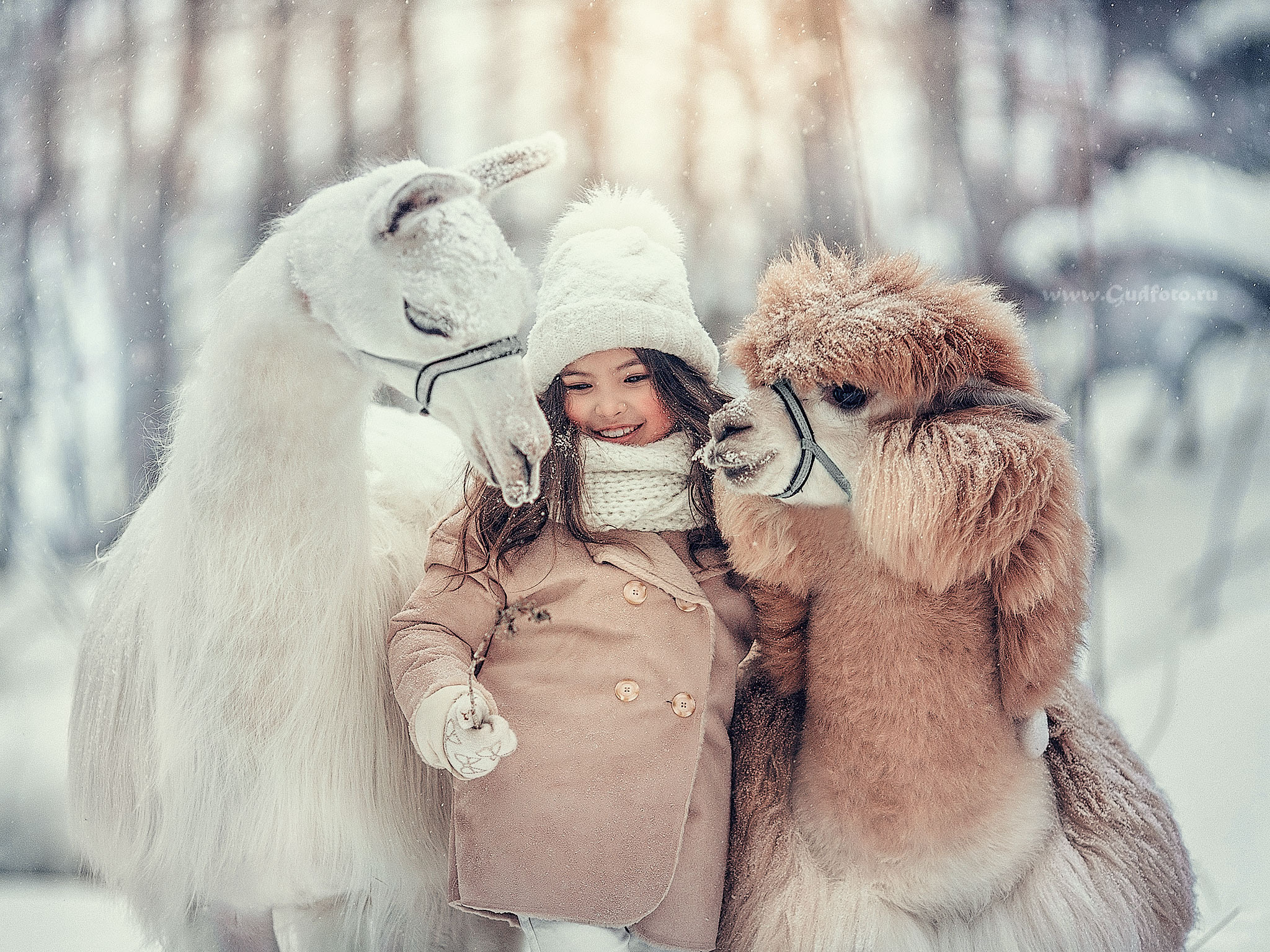 Зимние фотосессии, расписание и цены. Детский и семейный фотограф с животными в Москве Гурьева Надежда