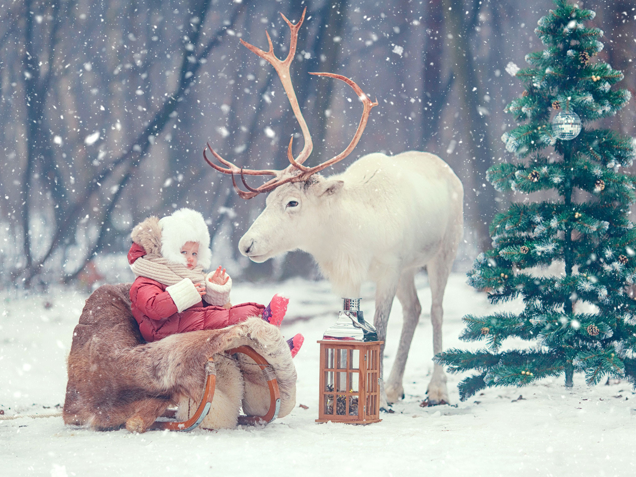 Зимние фотосессии, расписание и цены. Детский и семейный фотограф с животными в Москве Гурьева Надежда