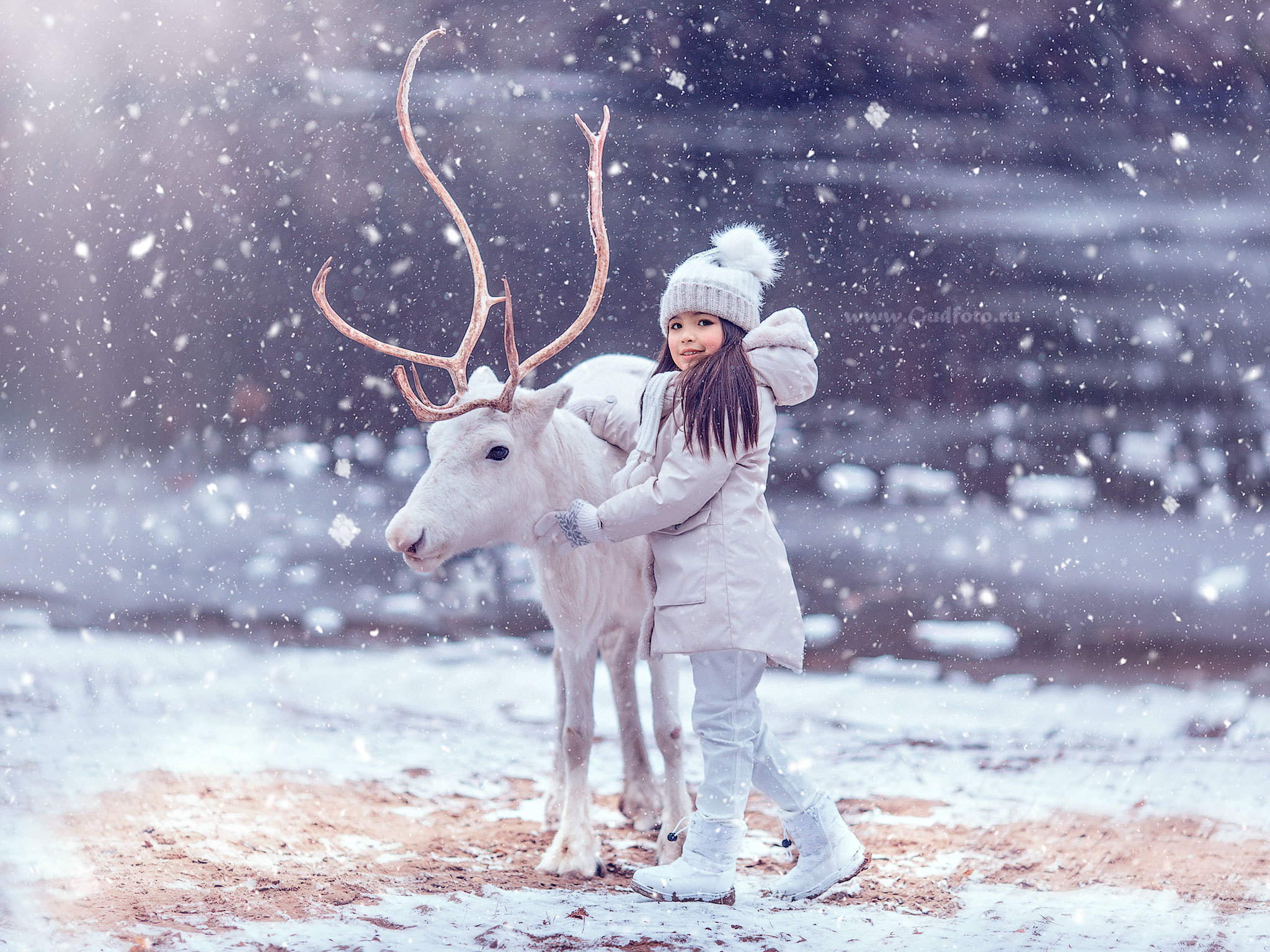 Зимние фотосессии, расписание и цены. Детский и семейный фотограф с животными в Москве Гурьева Надежда