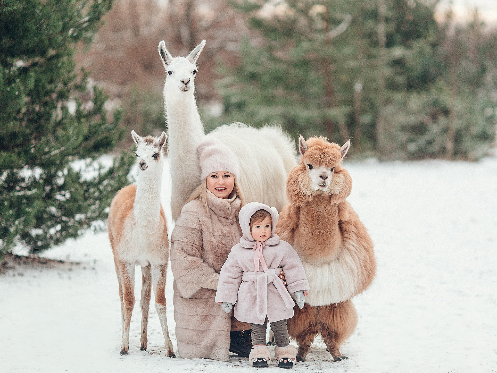 Зимние фотосессии, расписание и цены. Детский и семейный фотограф с животными в Москве Гурьева Надежда