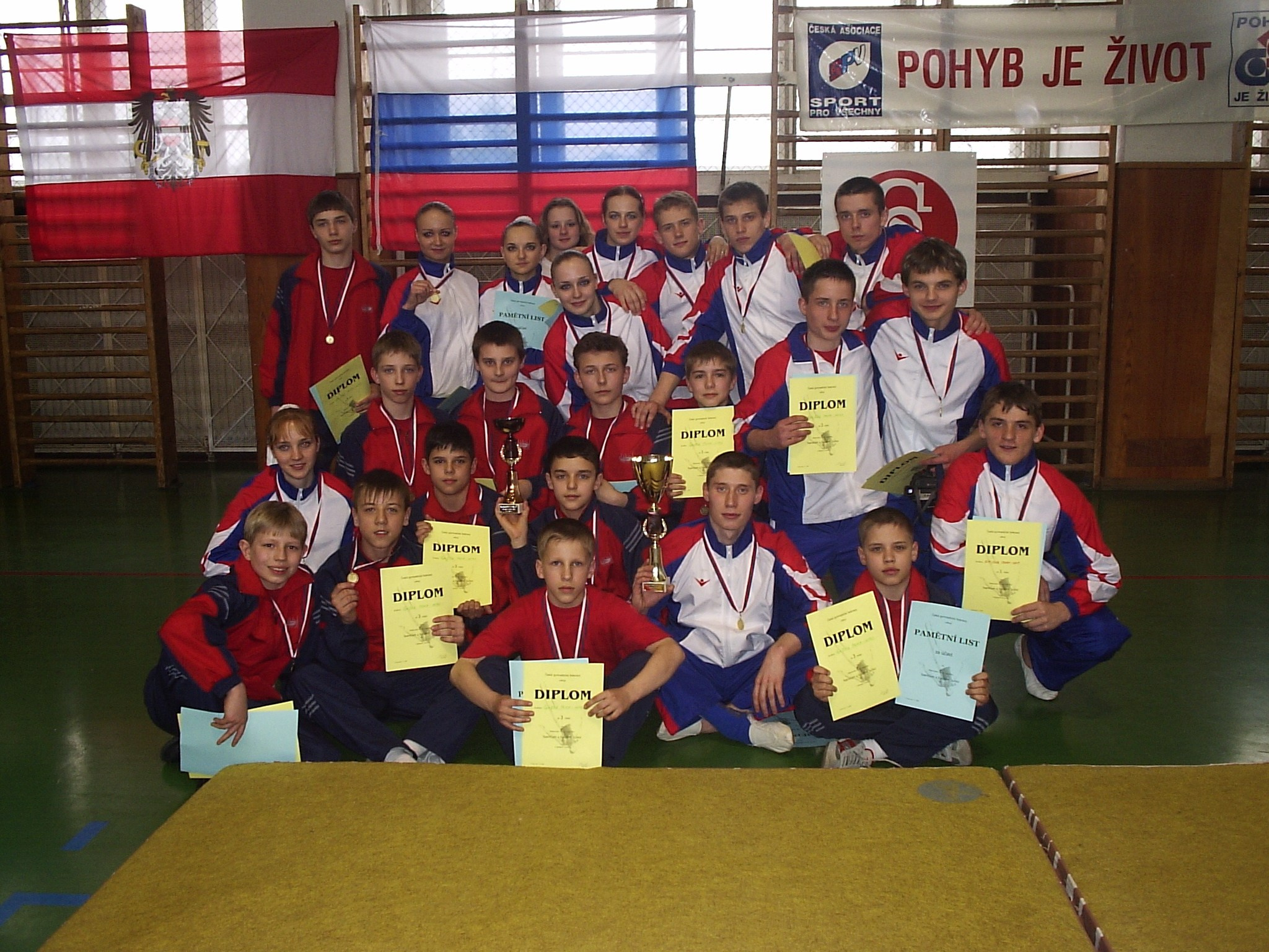 История возникновения. Федерация Командной Гимнастики России