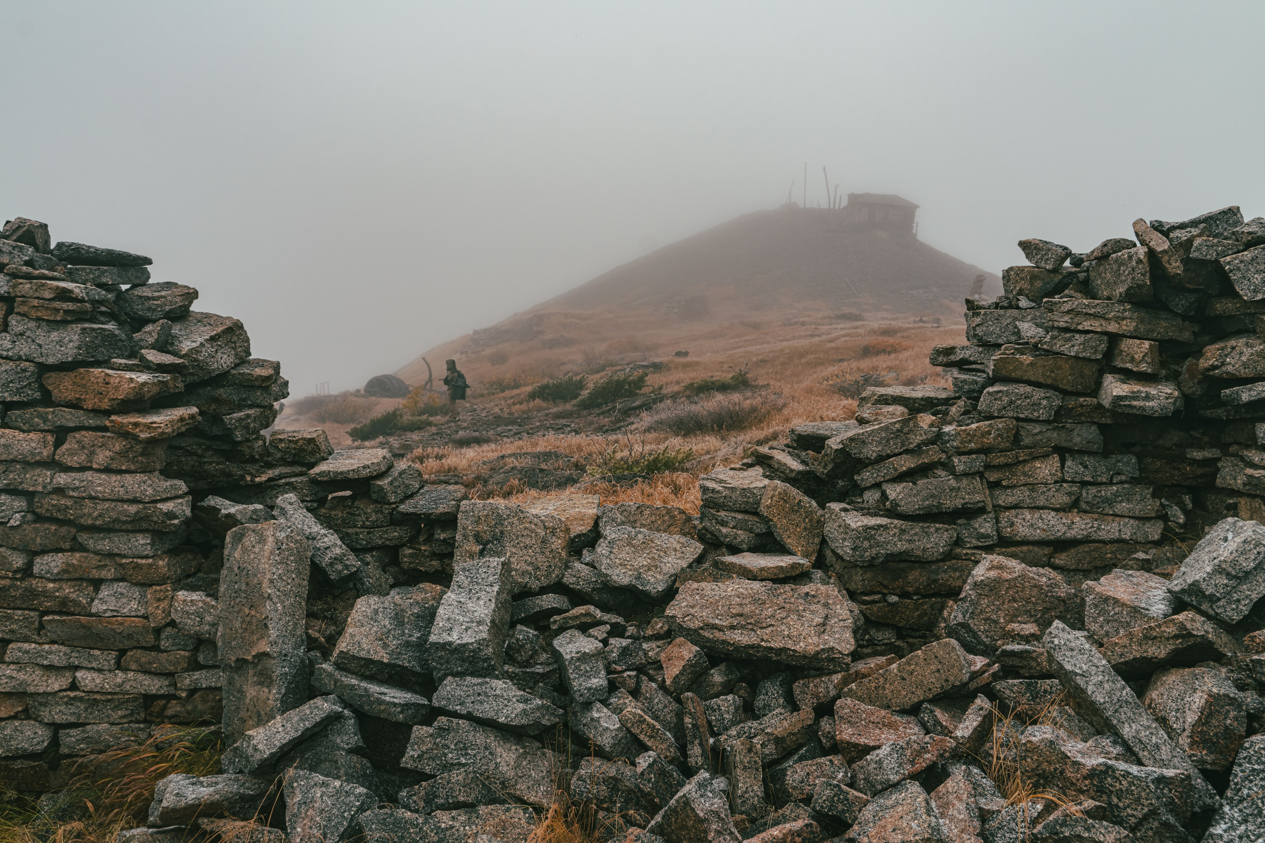 Купить принты. Планета Колыма. Элина Гусарова