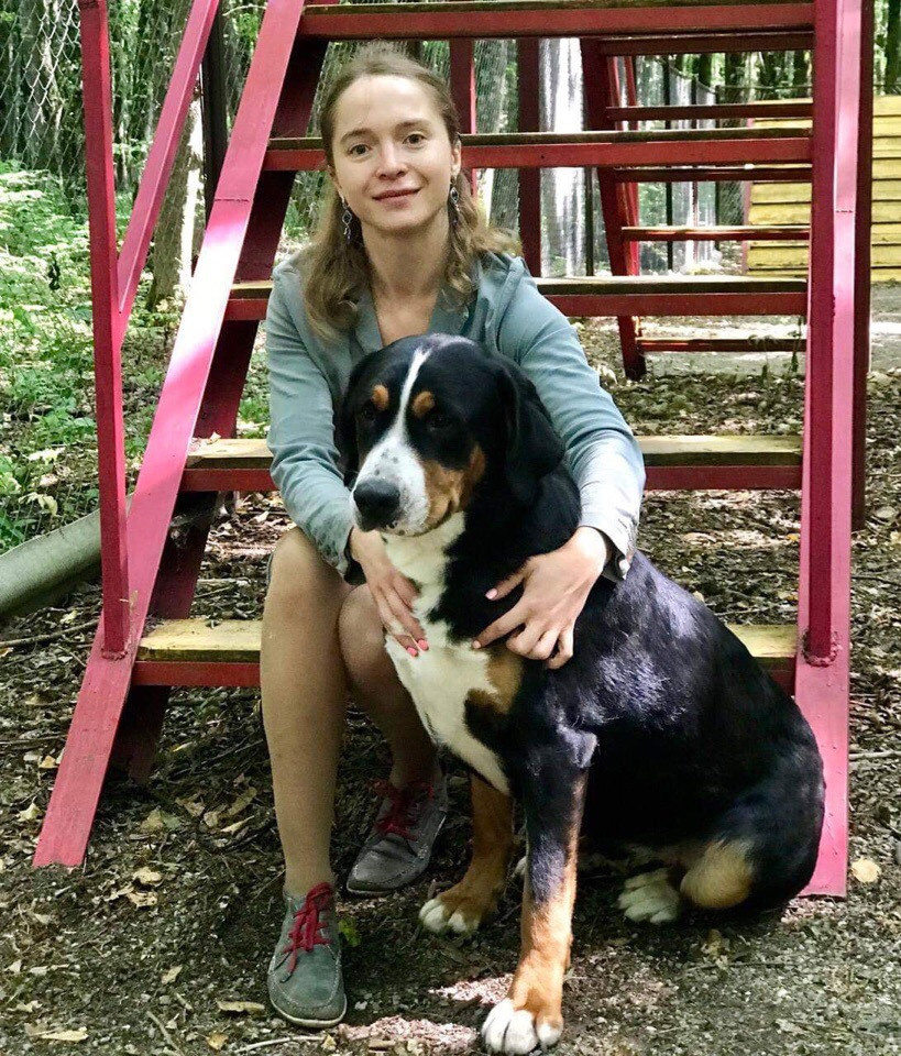 Победы на выставках собак питомника Санбёдс. Питомник Больших Швейцарских Зенненхундов в Калужской области