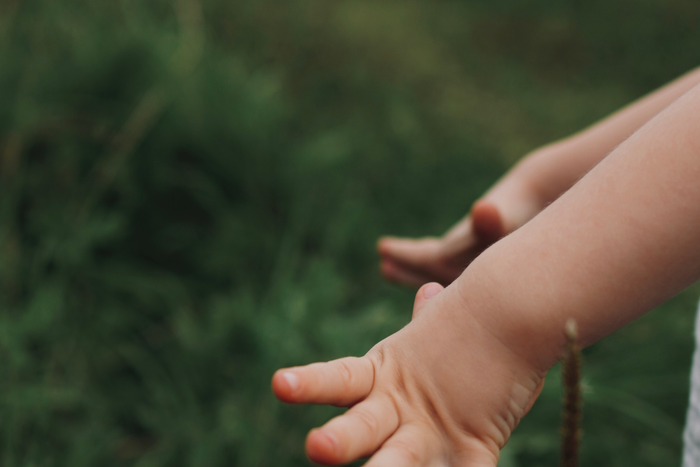 Услуги. Семейный фотограф в Зеленограде