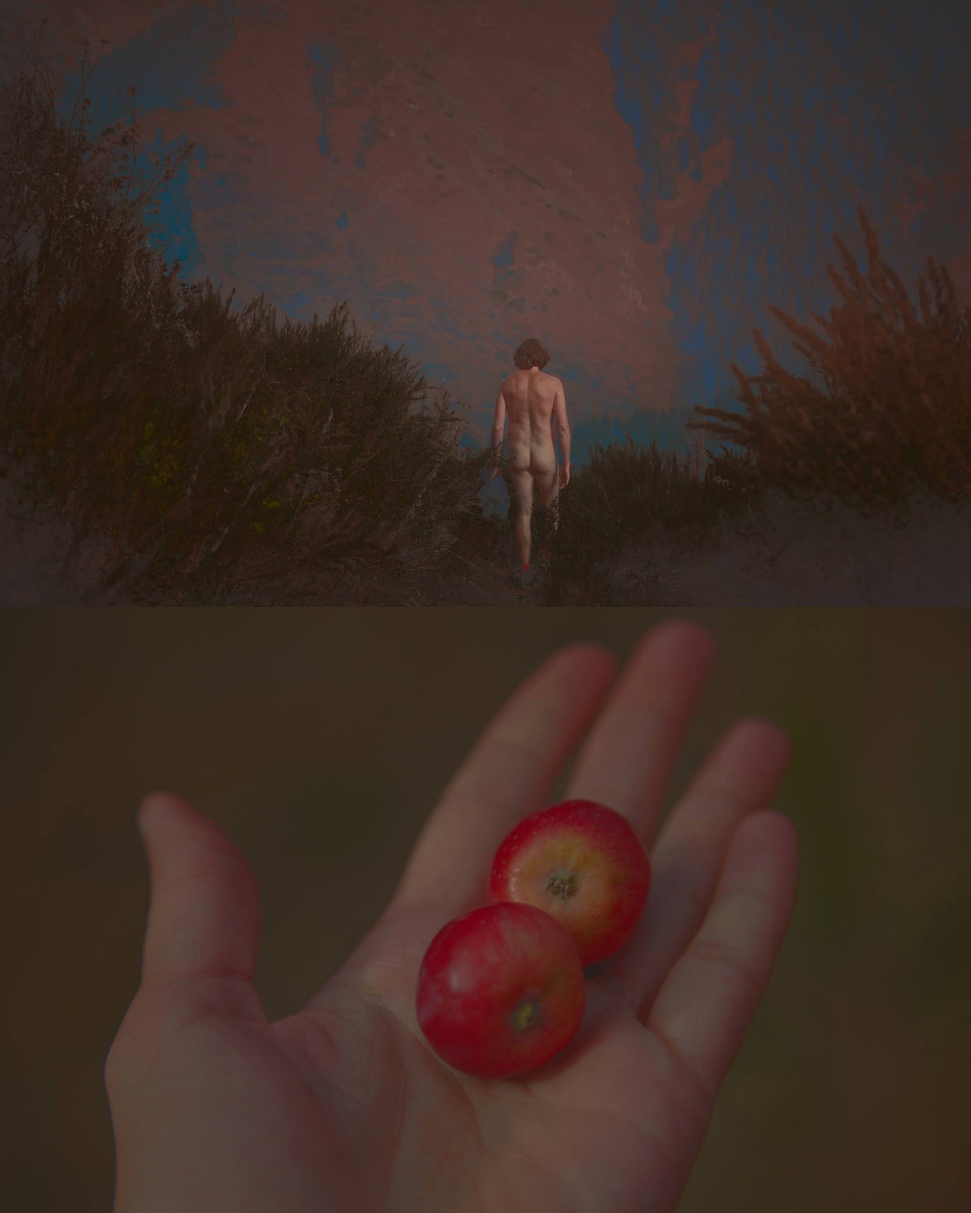 ПРОЕКТЫ И ИСТОРИИ. Катерина Малама арт-фотограф