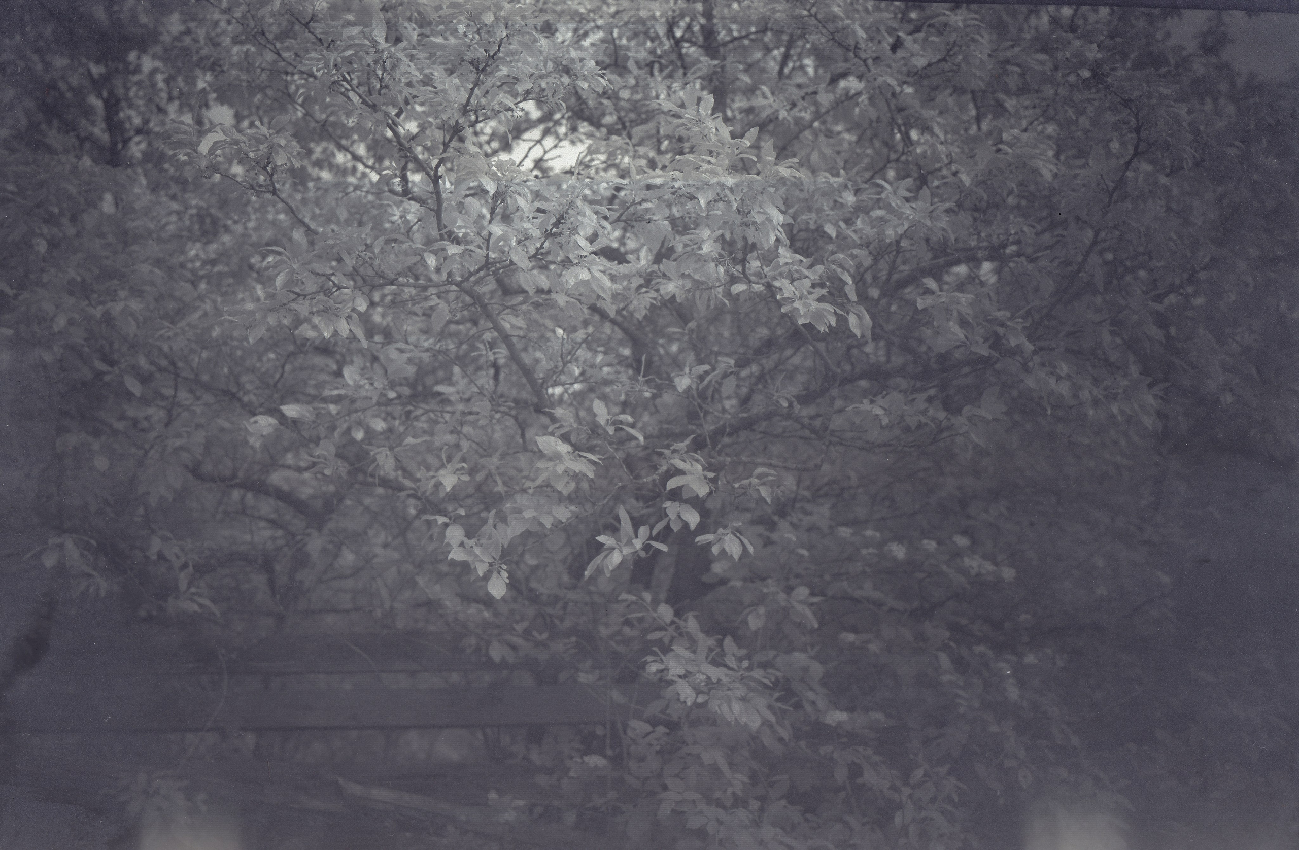 ДРЕЙФ — 26 маят 2025