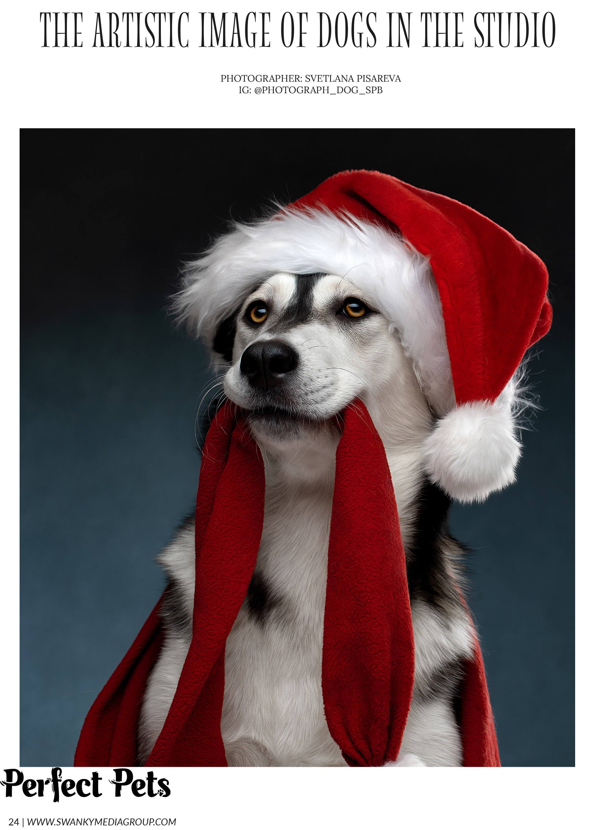 Публикации. Фотограф анималист в Санкт-Петербурге Светлана Писарева