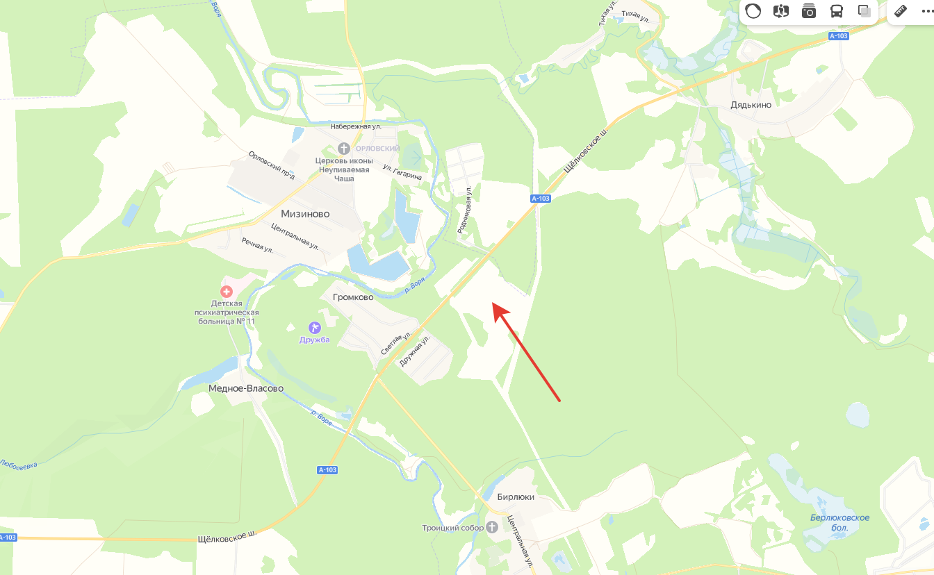 Что и где цветёт в Щёлково. Свадебный и семейный фотограф Виктория Носачёва. Щелково, Москва и МО