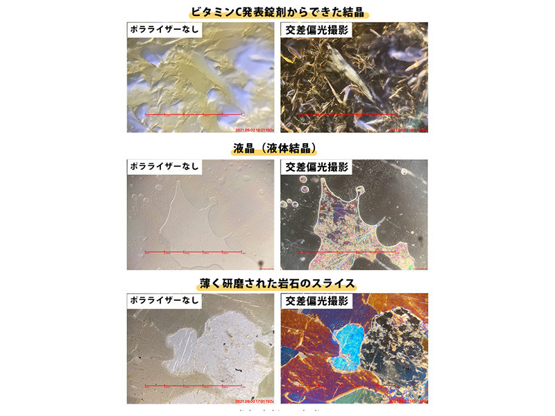 Ультракомпактный объектив «Микро Охотник». Фотограф — видеограф в Москве Дмитрий Менделеев