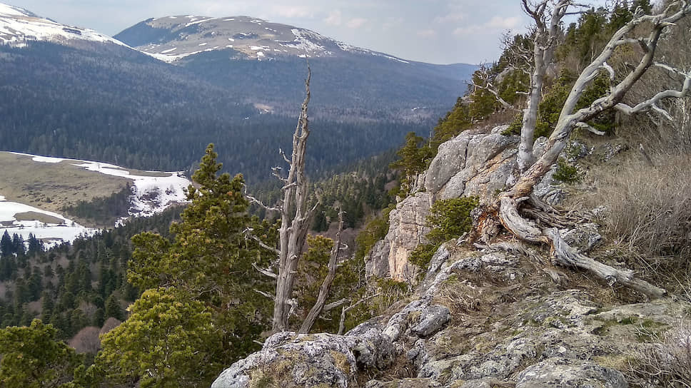 WORKSHOP. Свадебный фотограф в Ростове-на-Дону Васильченко Сергей