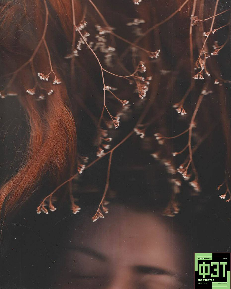 Альбом 08.03.26 в рамках ФЭТ