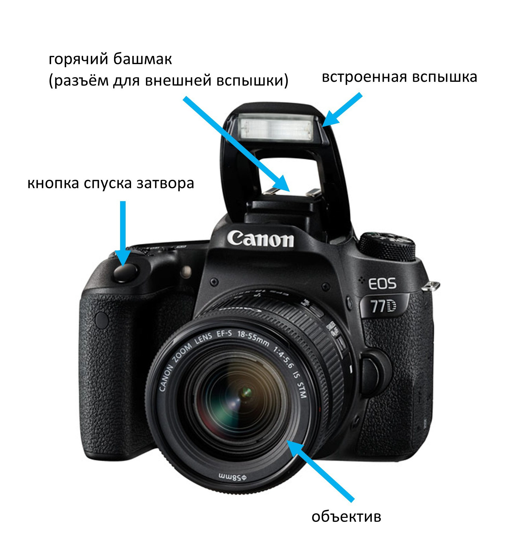 Фотошкола FOTOFQSKOOL: очное и онлайн обучение для всех уровней. FOTOFAQ SKOOL г. Санкт-Петербург: очные, дистанционные и онлайн курсы фотографии