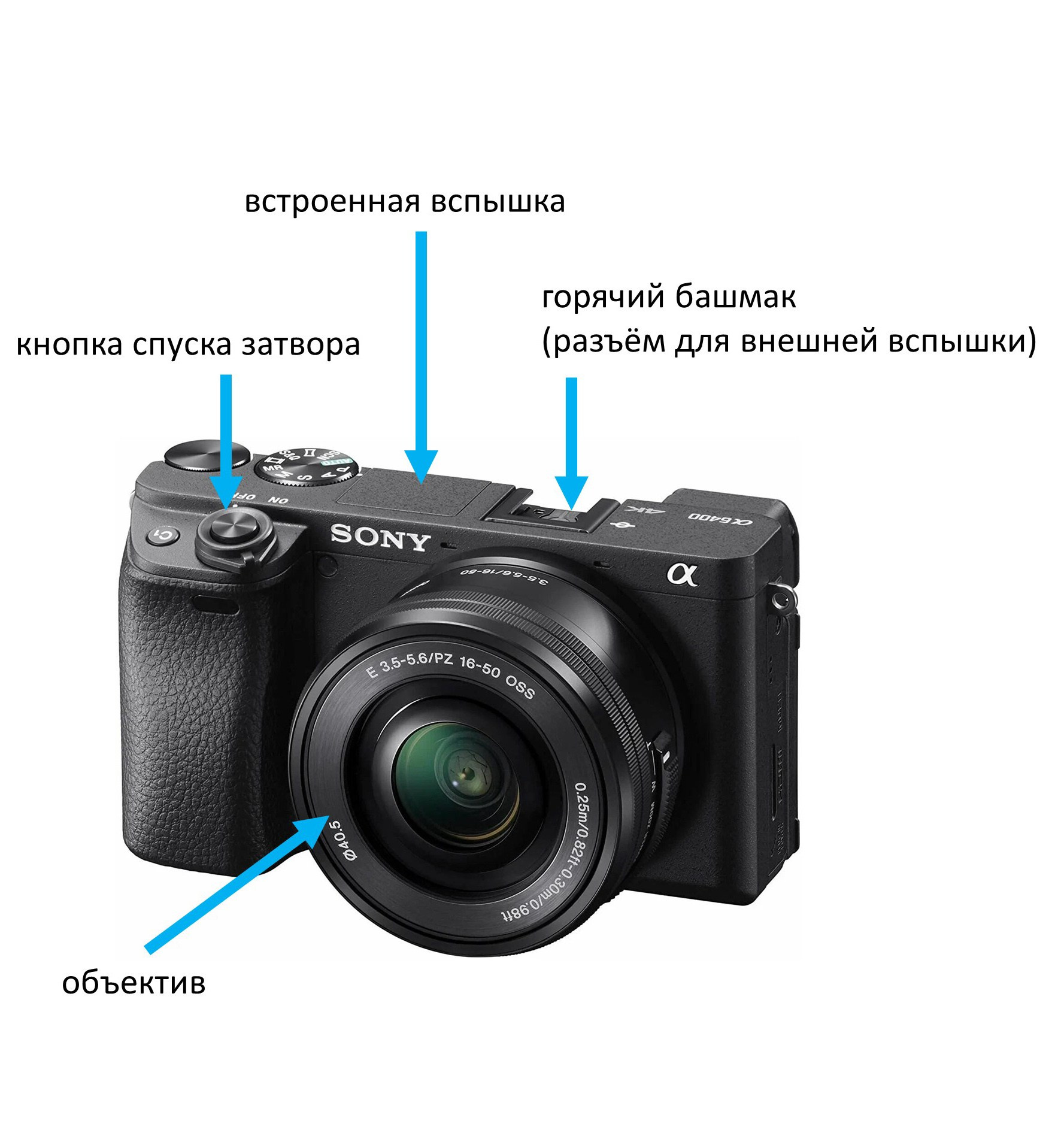 Фотошкола FOTOFQSKOOL: очное и онлайн обучение для всех уровней. FOTOFAQ SKOOL г. Санкт-Петербург: очные, дистанционные и онлайн курсы фотографии