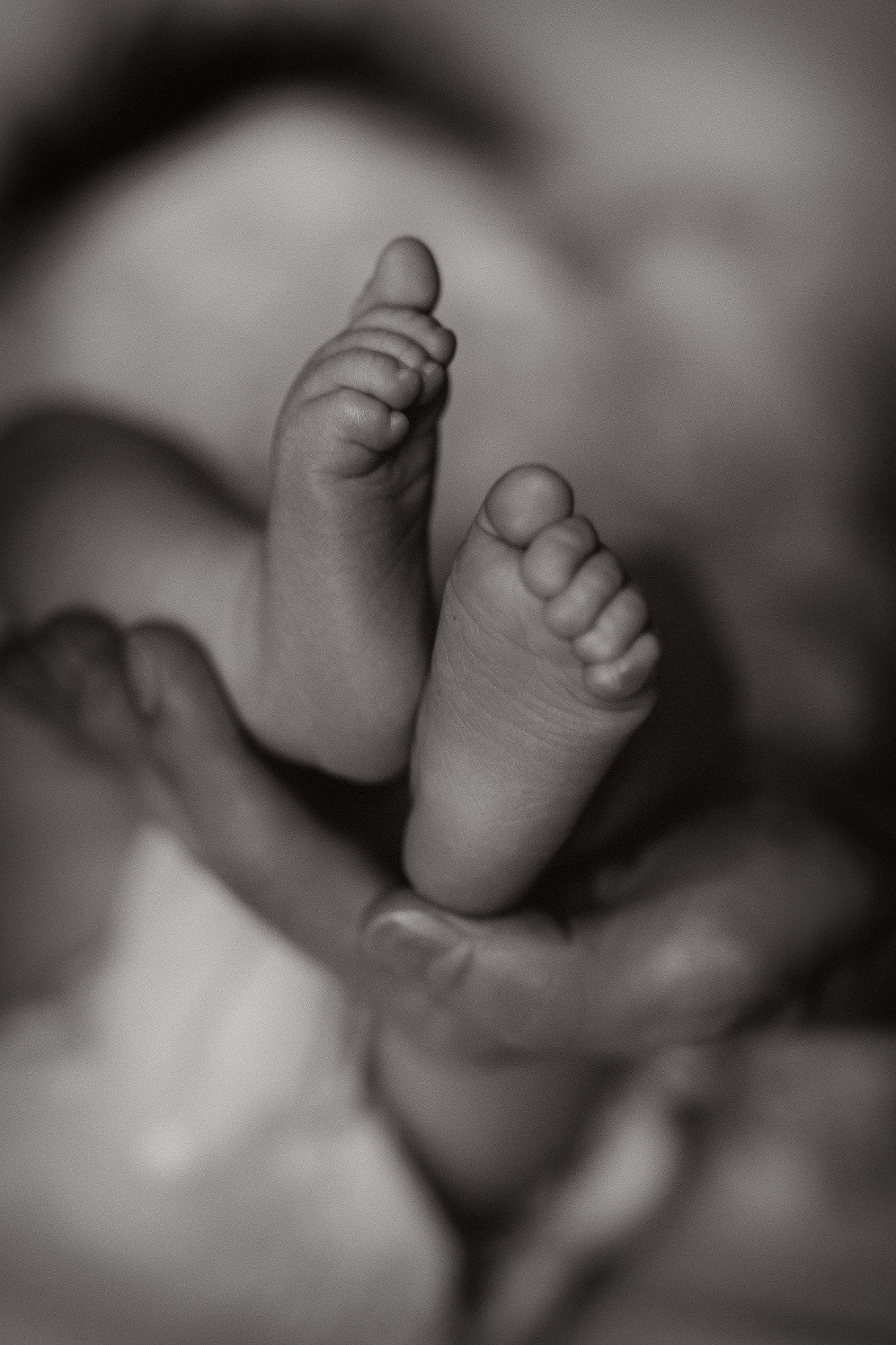 Семейный фотограф Москва детский фотограф Одинцово фотосессия беременности Рогачева Екатерина