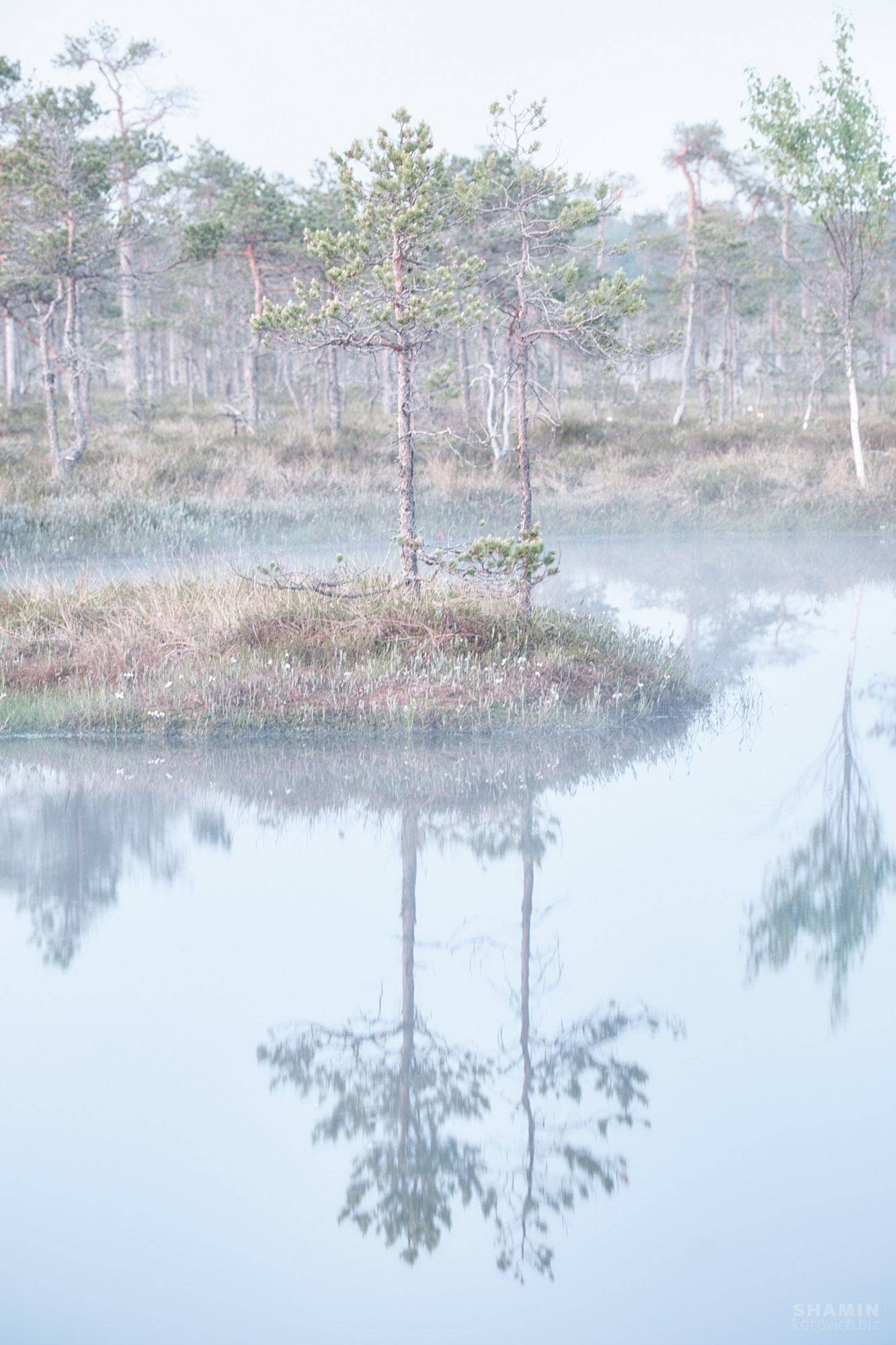 Прогнозирование и съемка туманов. Фотограф Константин Шамин