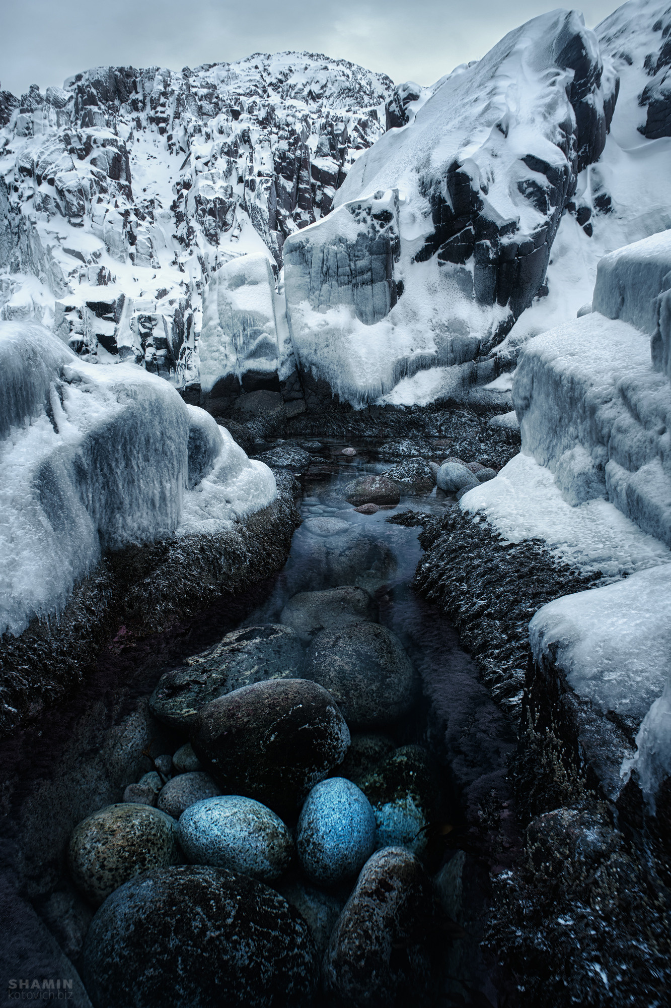 В погоне за китами. Фотограф Константин Шамин