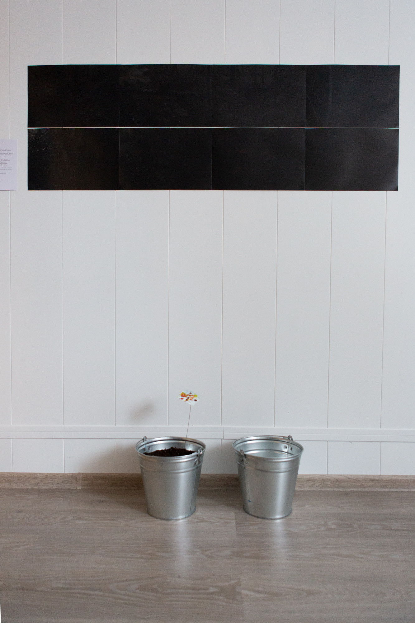 Природоведение. «ФотоСинтез»