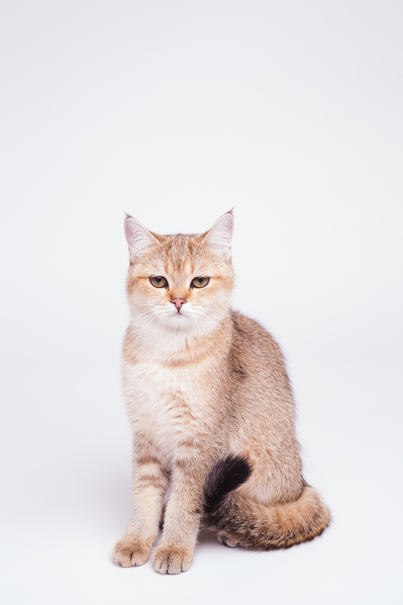 Услуги. Фотограф Владимир Зиновьев