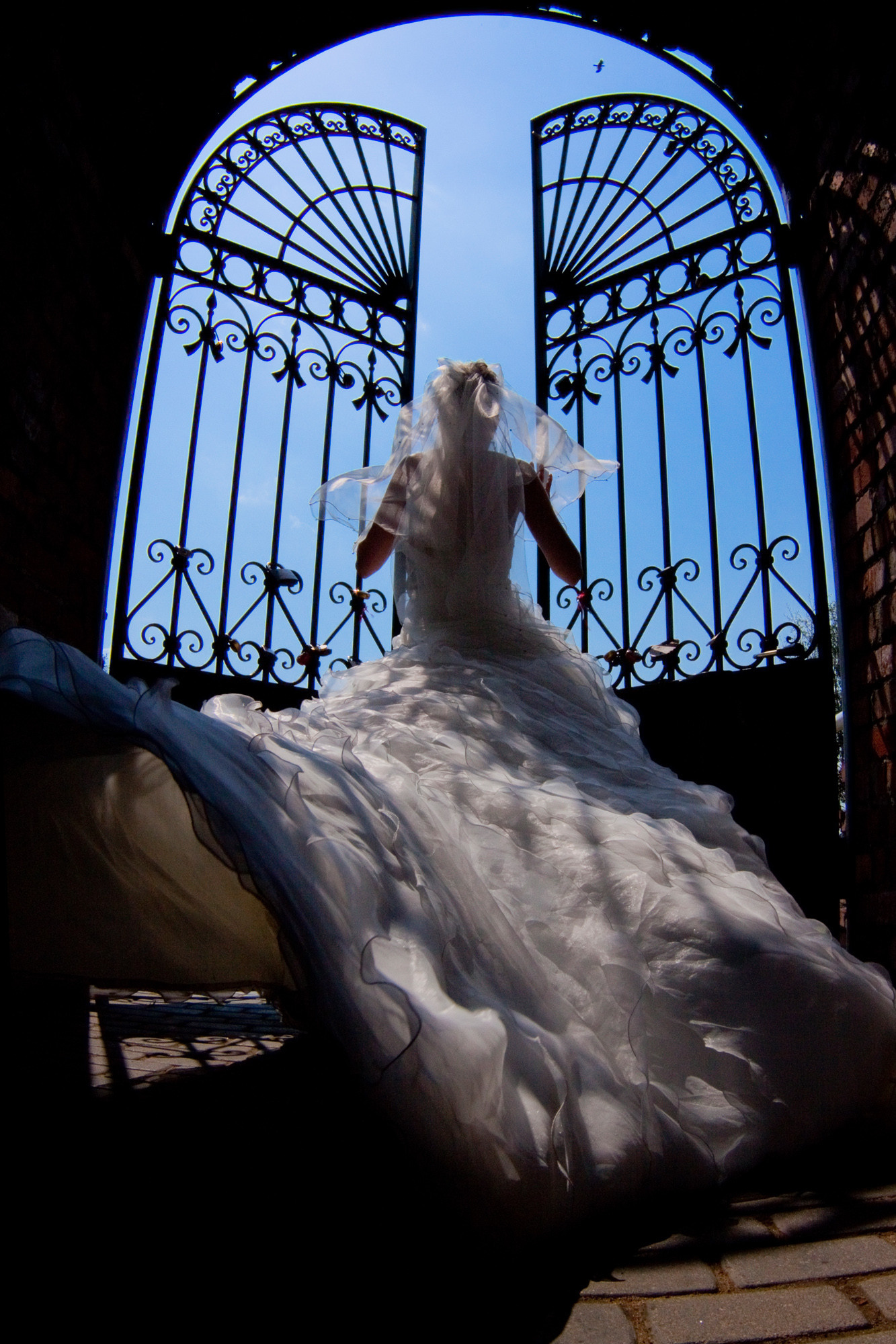 Услуги. Фотограф Владимир Зиновьев