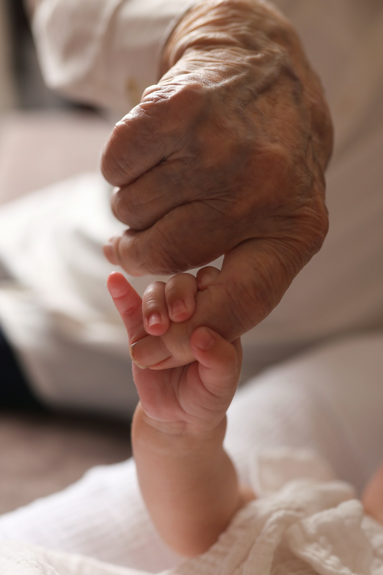 Екатерина Сосновская. Организация фотовыставок в Петербурге и Москве, MFamilia (МФамилия)
