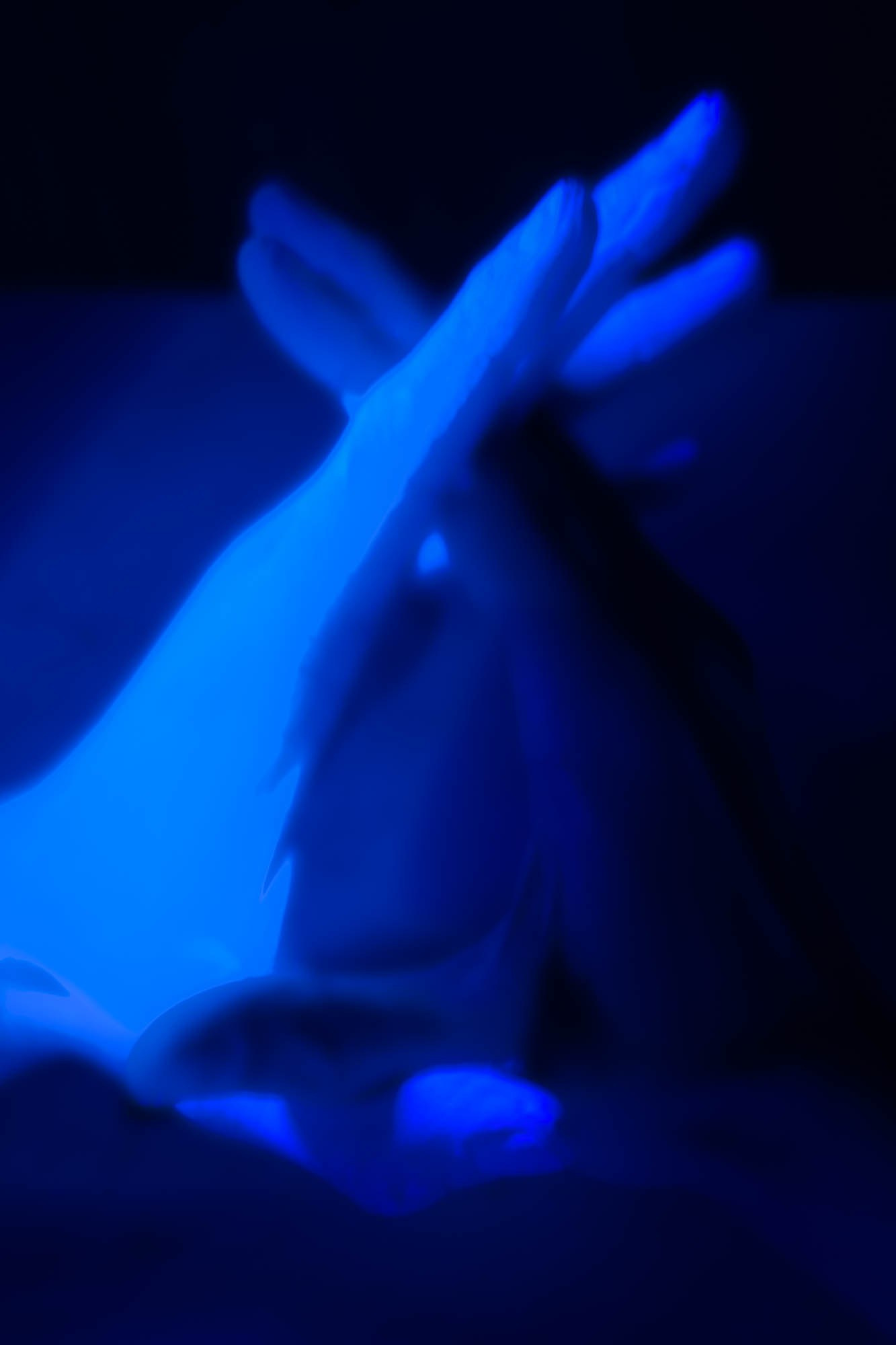 Творческое портфолио