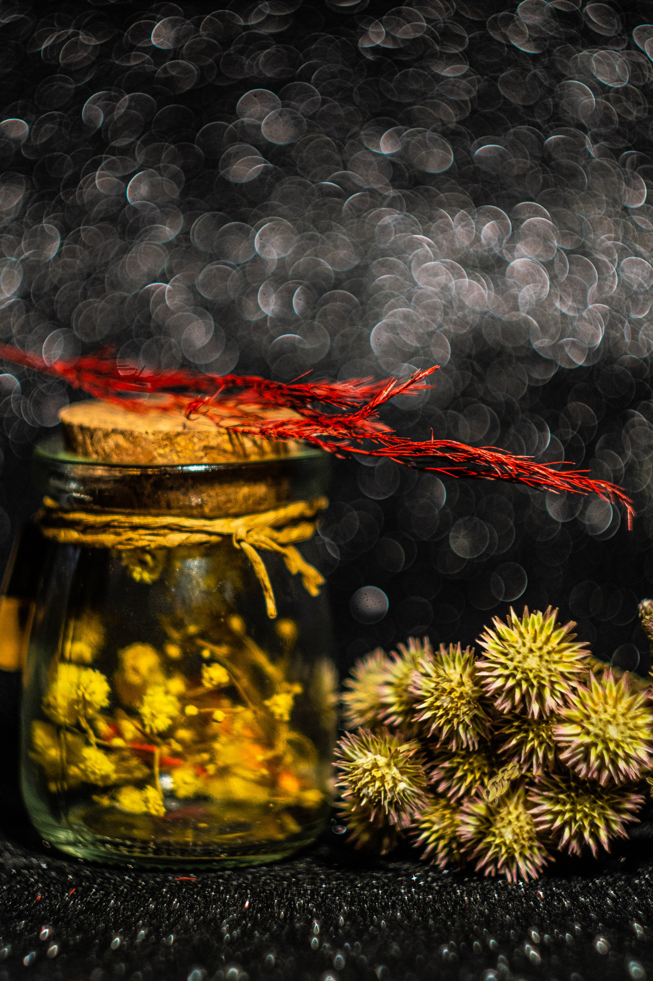 Съемка на советскую оптику. Евгения Орлова