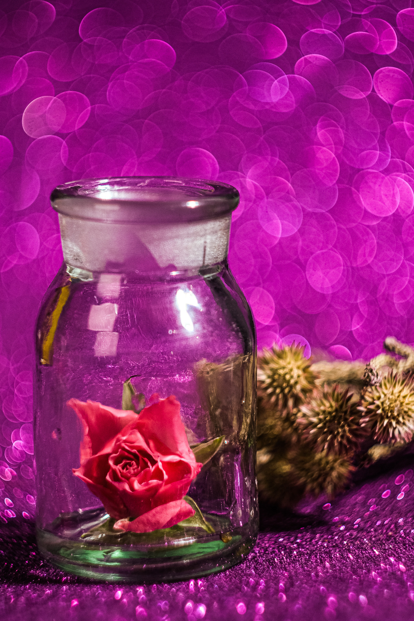 Съемка на советскую оптику. Евгения Орлова