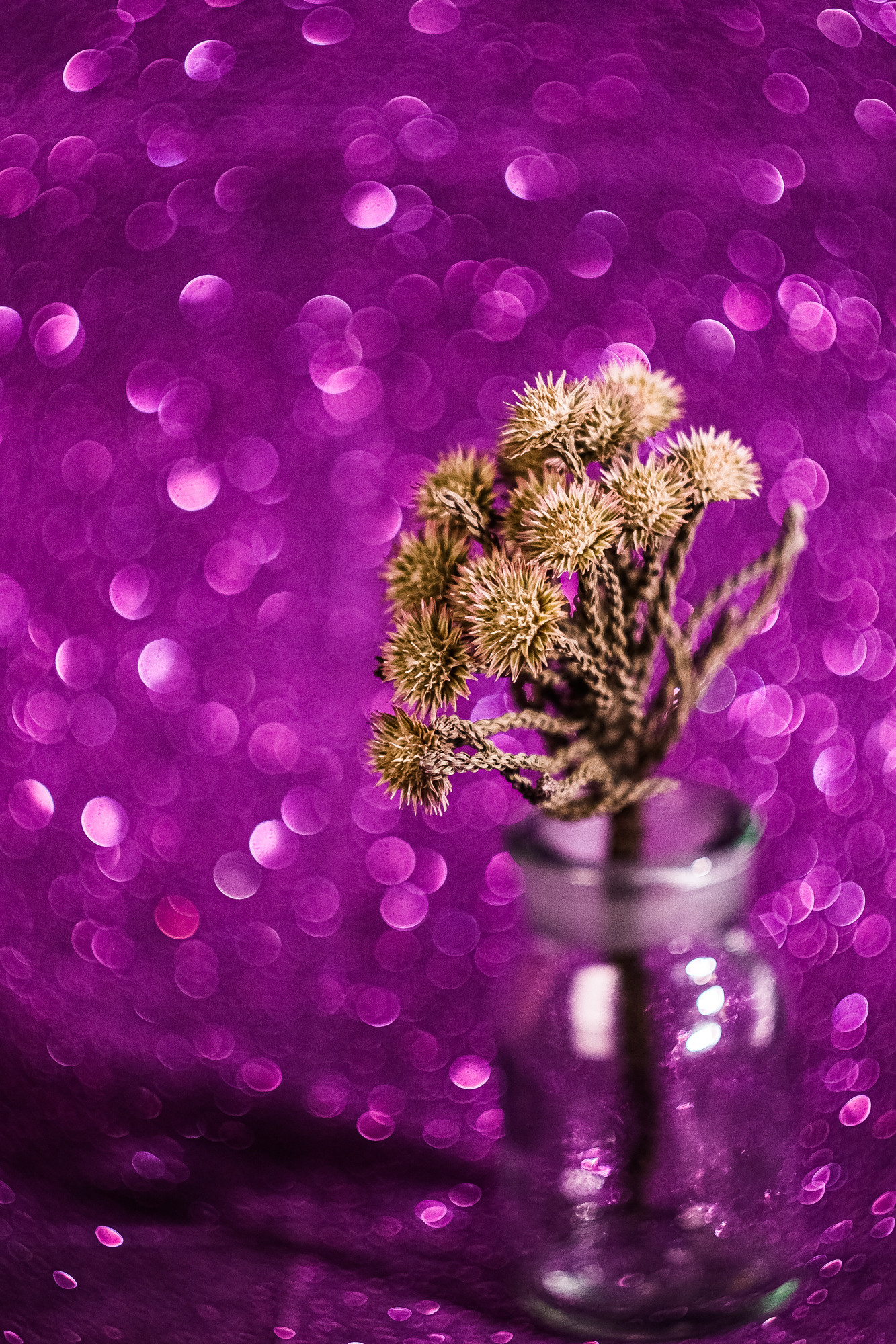 Съемка на советскую оптику. Евгения Орлова