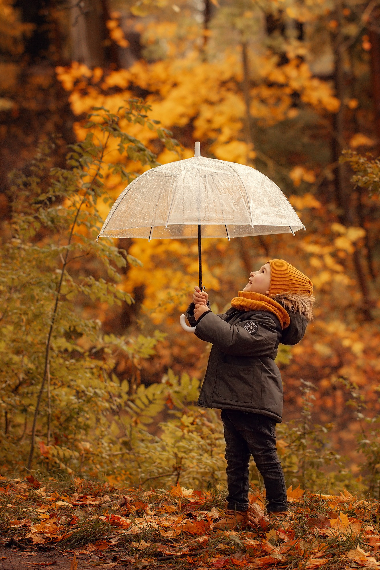 Прогулка по осеннему парку. Семейный фотограф в Калининграде Надежда Гриднева