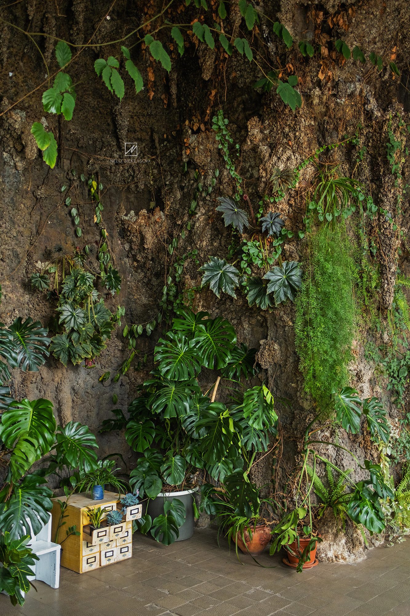Дом Ушковой в Казани. Фотограф и искусствовед в Туле и Санкт-Петербурге Нелли Некрасова