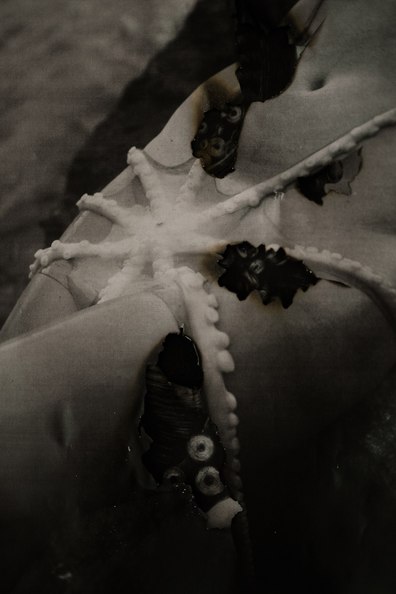 SIRENA. VISUAL ARTIST. OLGA ZHDANOVA