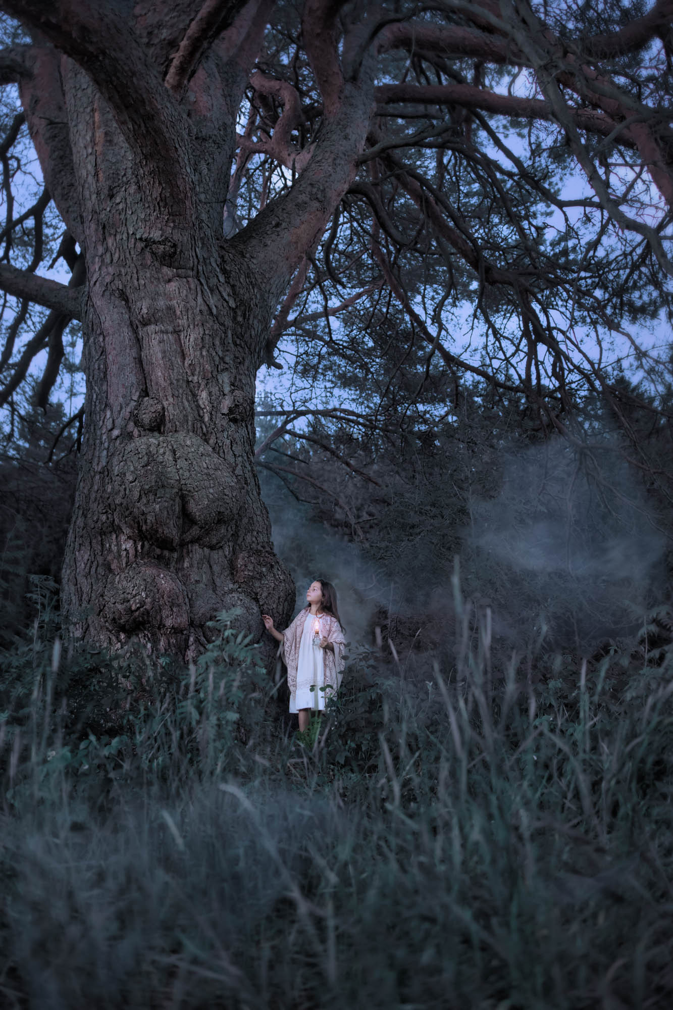 The oldest tree Russia is&nbsp;located in&nbsp;Tver region? An&nbsp;old pine tree. Photo of&nbsp;a&nbsp;fabulous old tree. Tver region. a&nbsp;little girl and an&nbsp;old tree. Photographer Svetlana Korneliuk