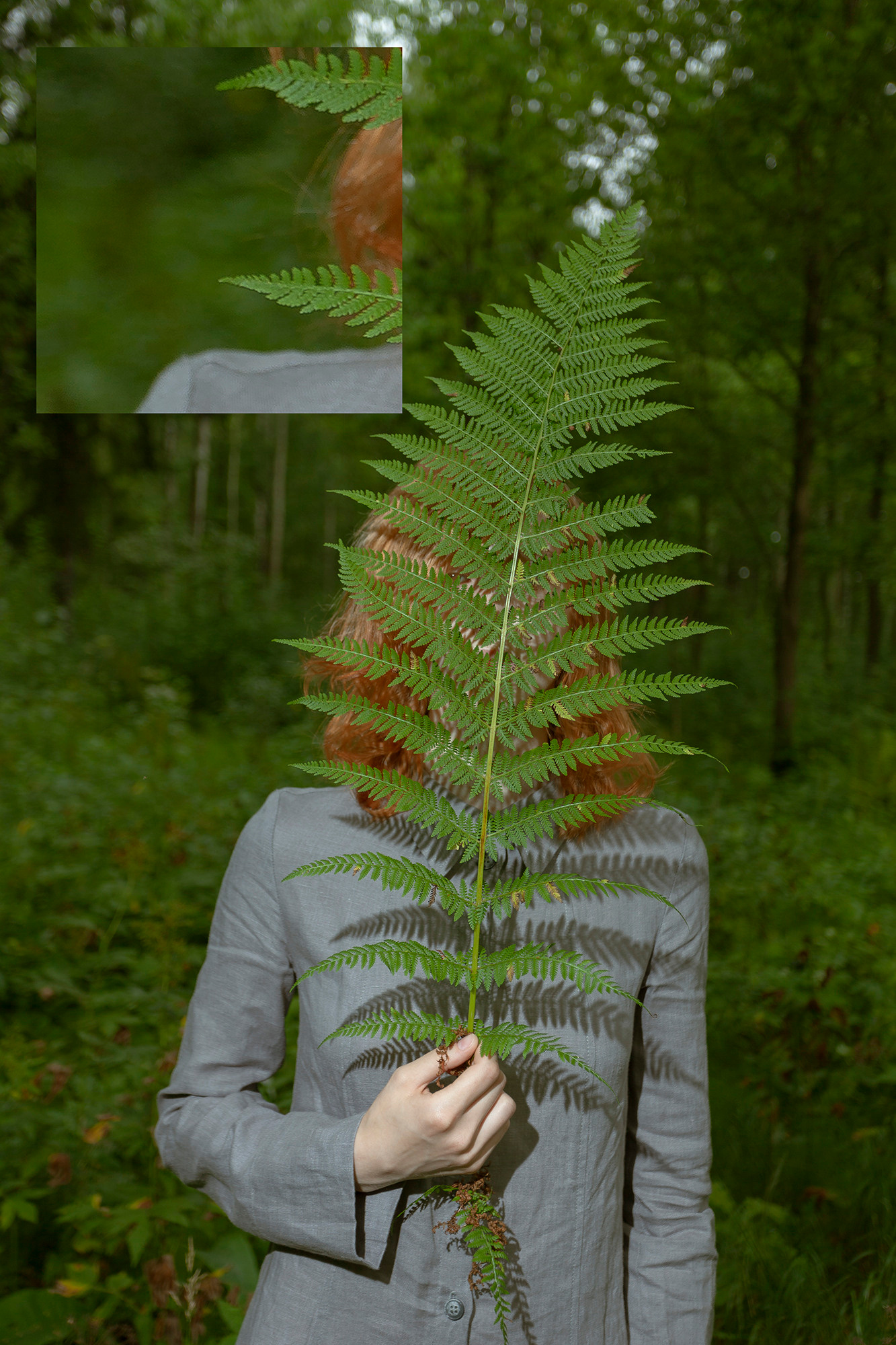 Занятие № 1. FOTOFAQ SKOOL г. Санкт-Петербург: очные, дистанционные и онлайн курсы фотографии