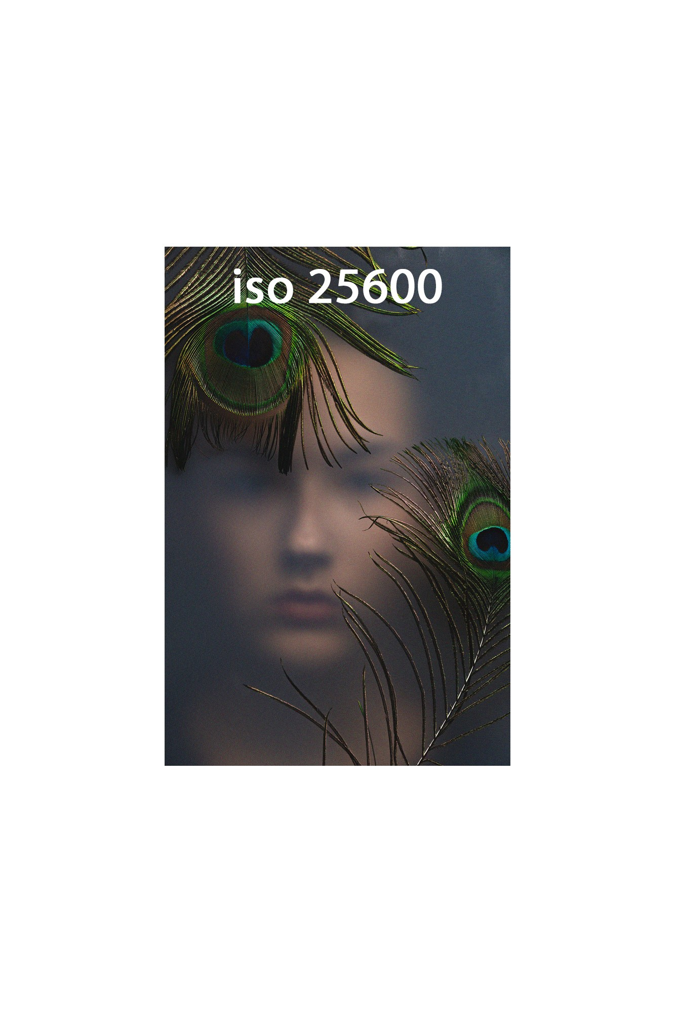 Фотошкола FOTOFQSKOOL: очное и онлайн обучение для всех уровней. FOTOFAQ SKOOL г. Санкт-Петербург: очные, дистанционные и онлайн курсы фотографии