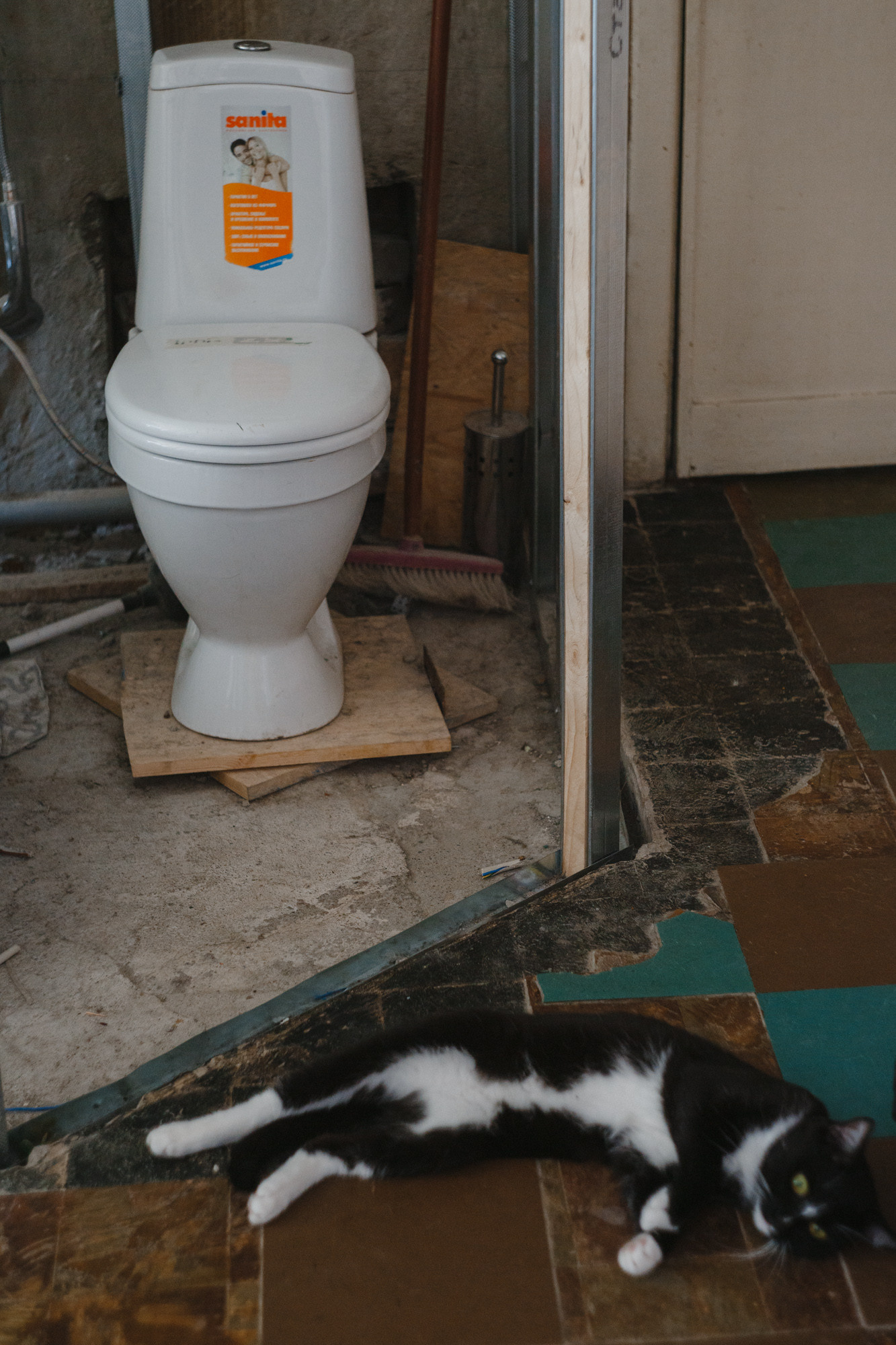 Менструация — это нормально. Козлова Екатерина. Междисциплинарная визуальная художница