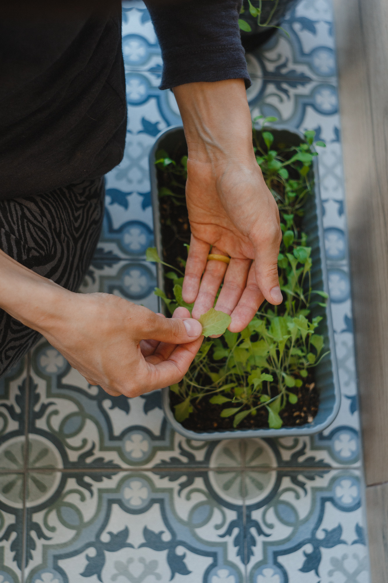 Менструация — это нормально. Козлова Екатерина. Междисциплинарная визуальная художница