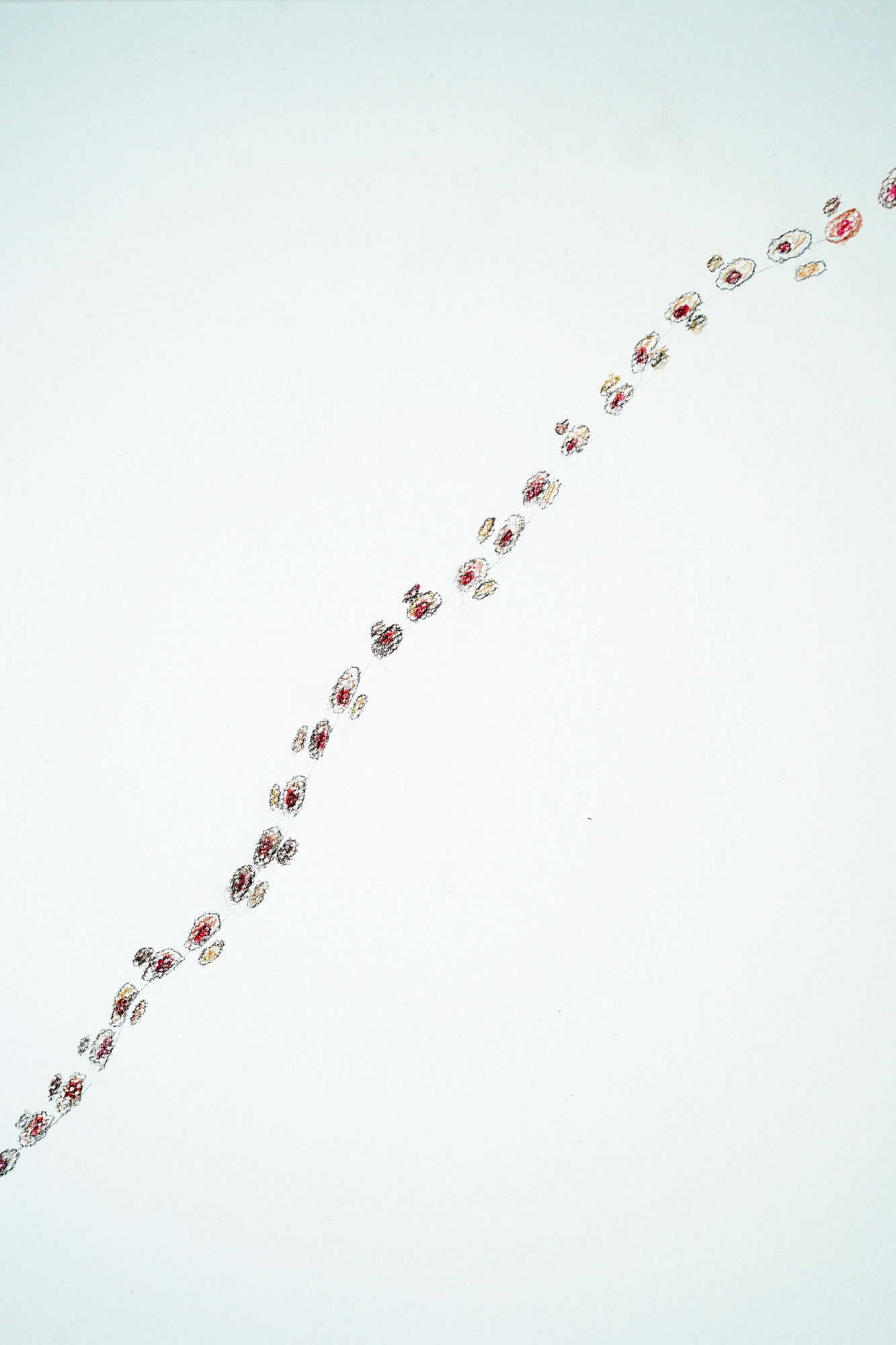 От Кунгака до Парижа