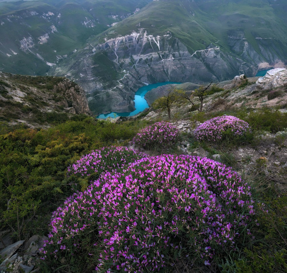 Фотоотчет Дагестан
