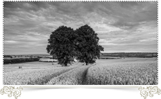 Гравировка. Granum-memorial