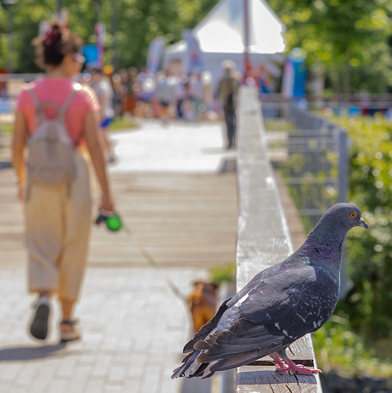 Фотограф, получающий удовольствие от своей работы