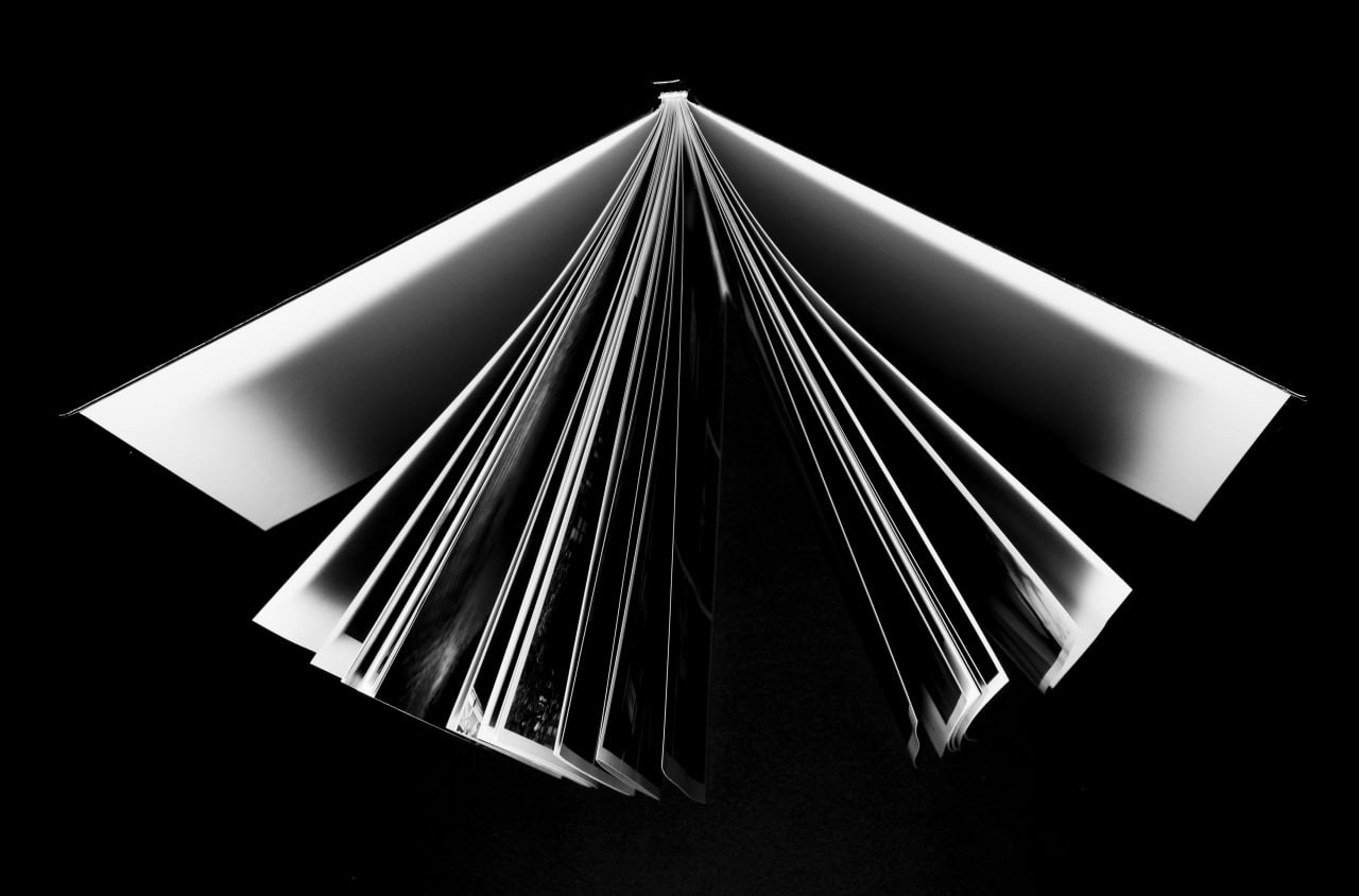 Это идеальный визуал для начала вашего пути.Черно-белый, драматичный, почти абстрактный — он говорит о том, что мы не просто будем перелистывать страницы, а будем разворачивать их, как крылья. Каждая страница — это глава, сюжет, эмоция, момент из "Манифеста теней". Они не лежат плоско, они живут, дышат, создают пространство и глубину.