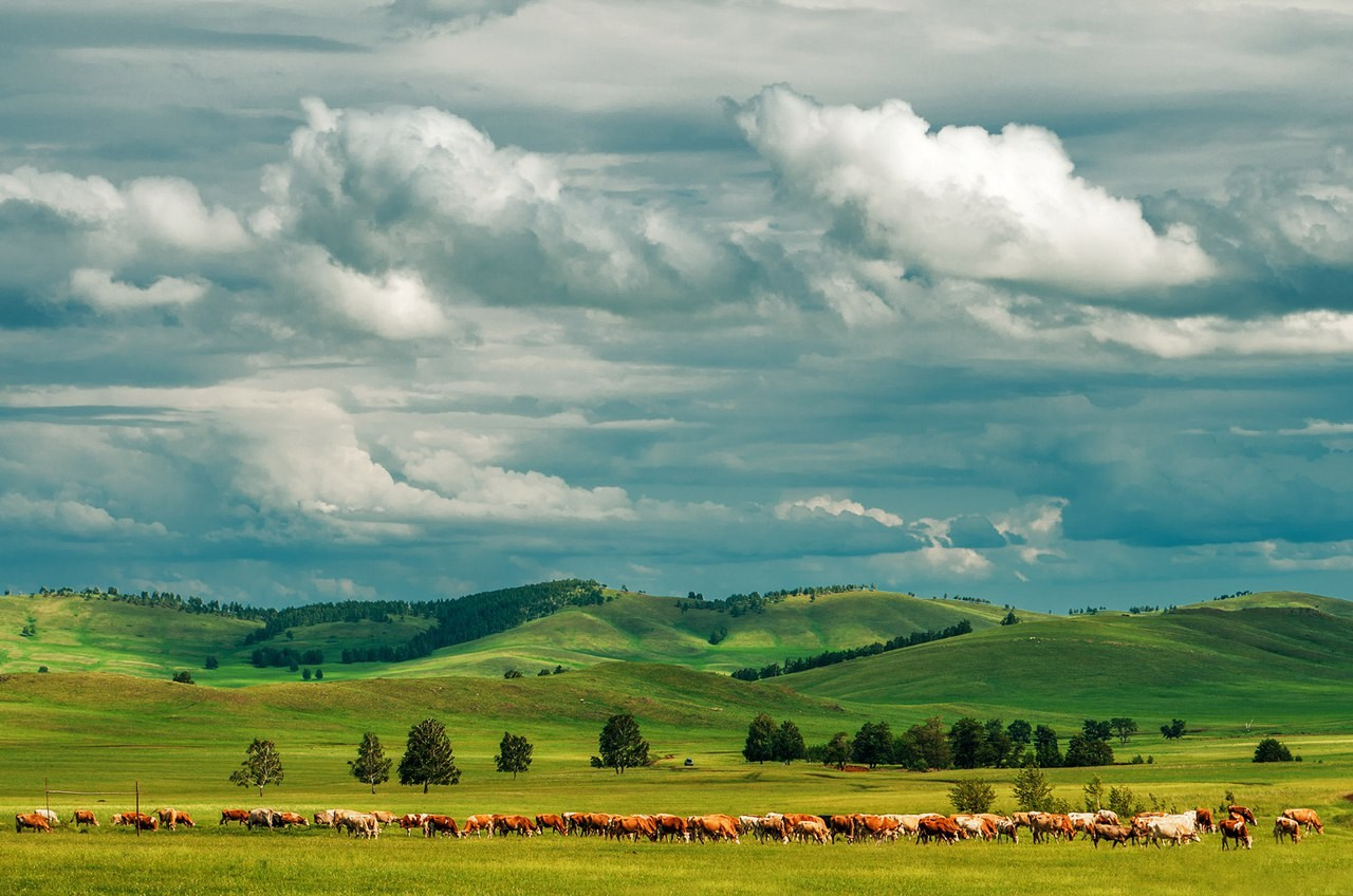 Евгений Рослов магазин. Evgeniy Roslov