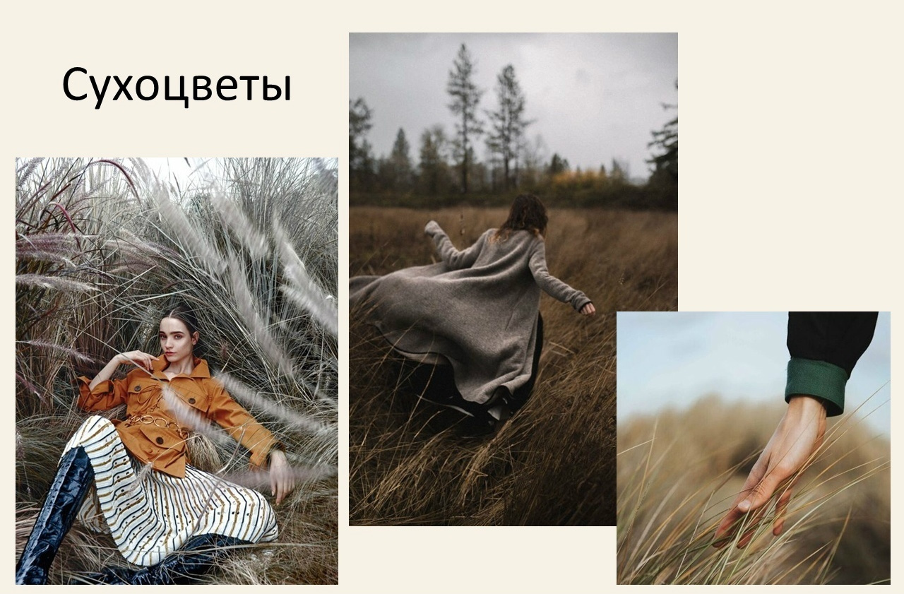 Идеи для осенних фотосессий. Портретный фотограф в Москве