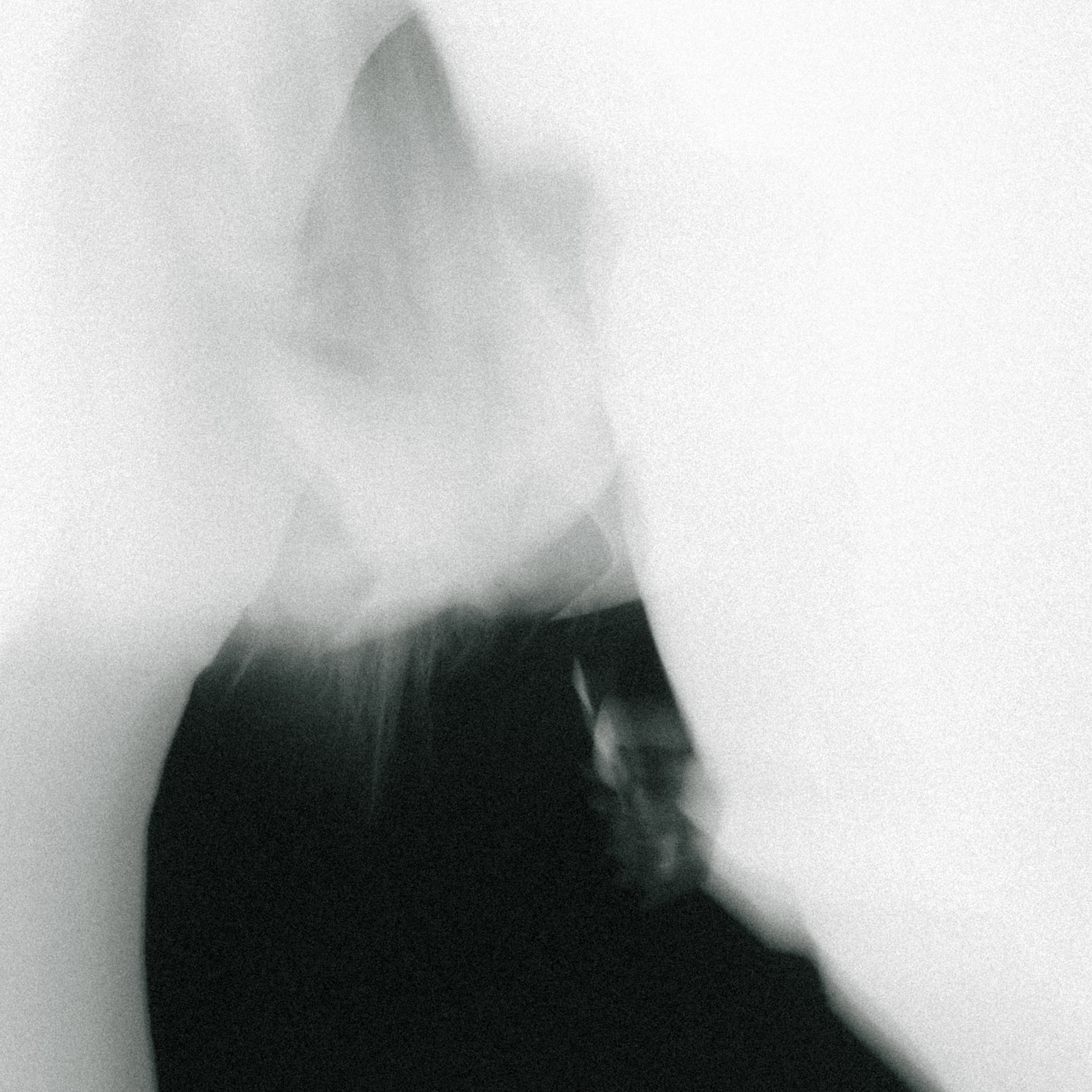 Контакты. Портретный фотограф в Москве